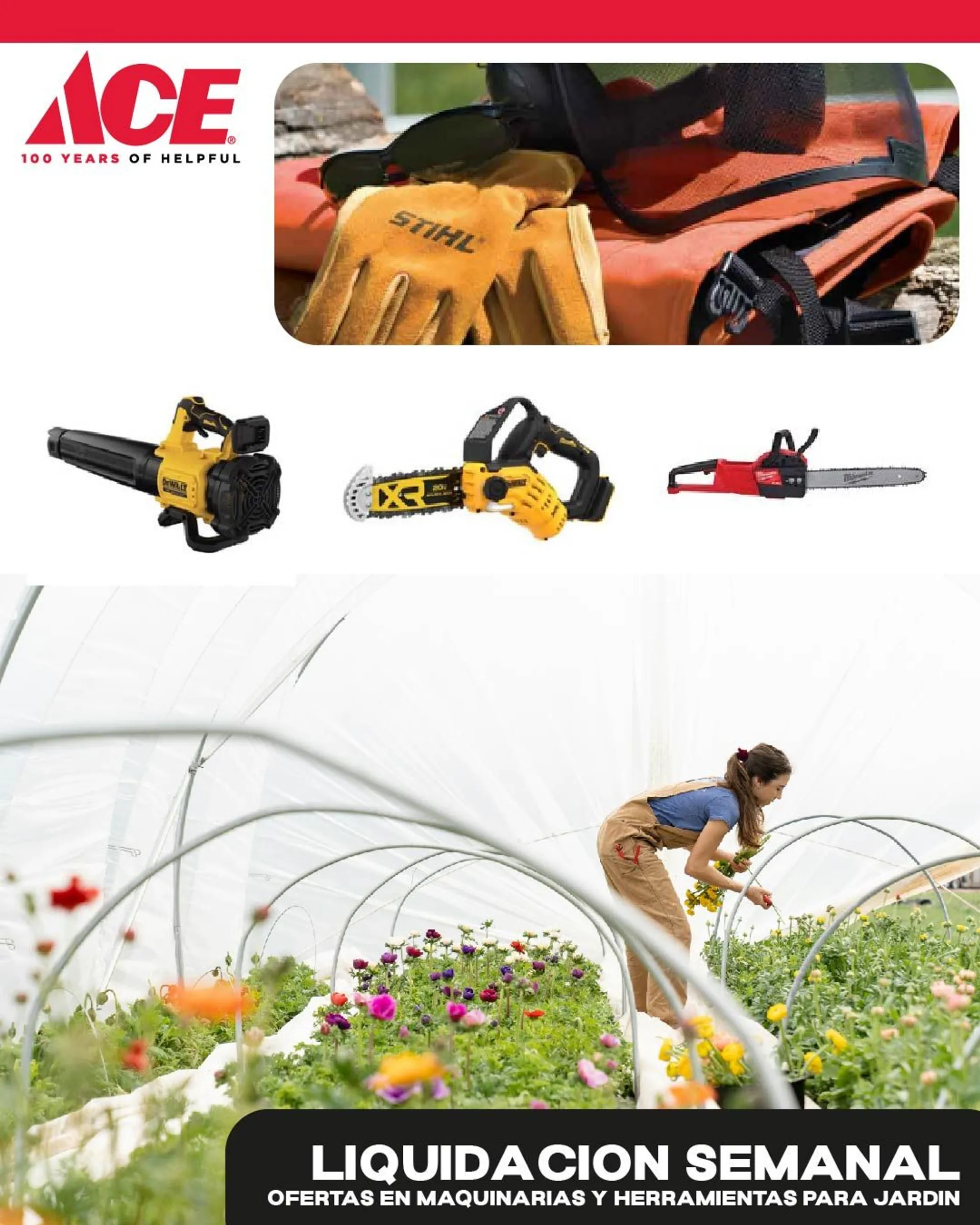 Catálogo de Ofertas en maquinarias y herramientas para jardín 15 de mayo al 20 de mayo 2024 - Página 