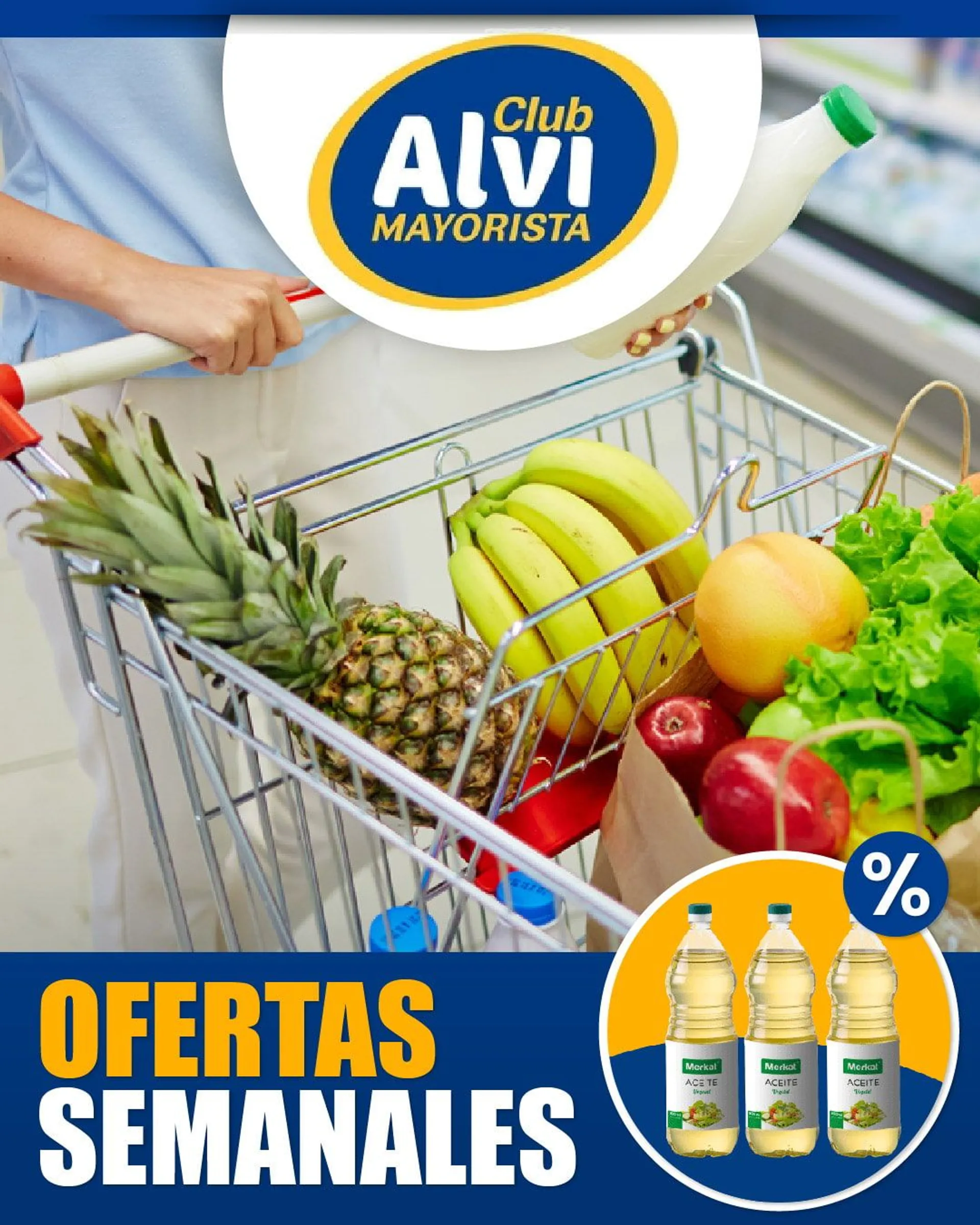Catálogo de Alvi - Supermercado 26 de noviembre al 1 de diciembre 2023 - Página 1