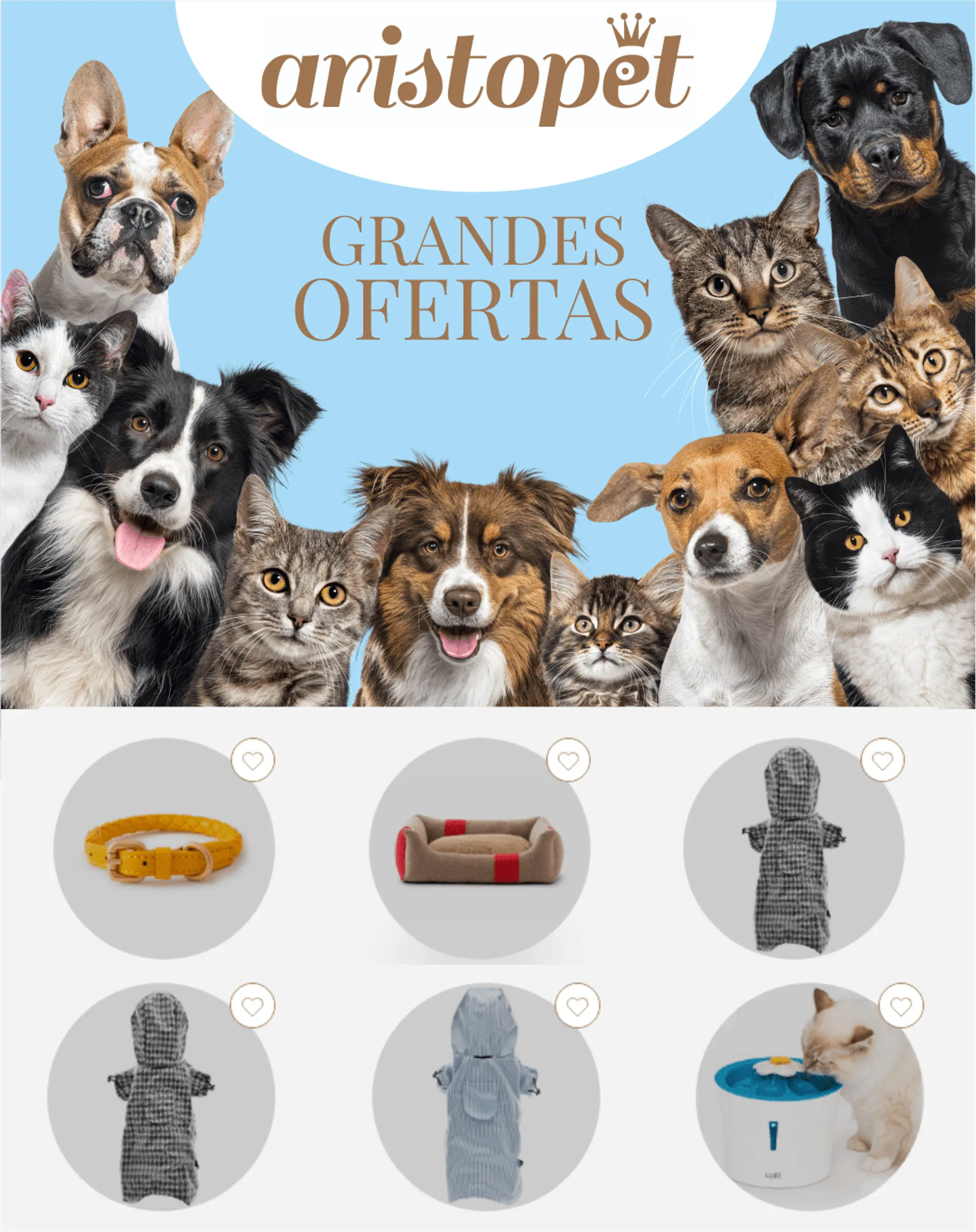 Catálogo de Astore Mascotas - Mascotas Perros 16 de febrero al 21 de febrero 2024 - Página 