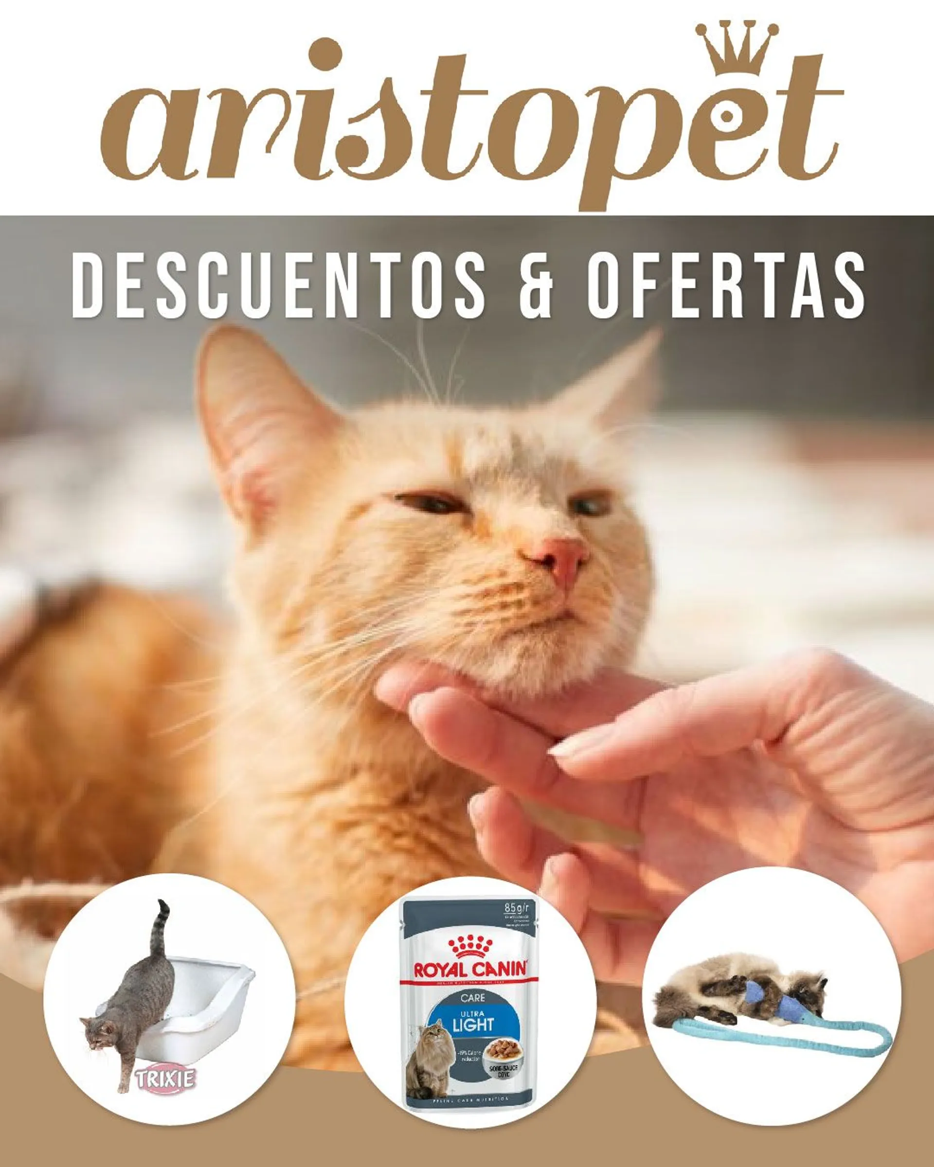 Catálogo de Astore Mascotas - Mascotas Gatos 22 de febrero al 27 de febrero 2024 - Página 