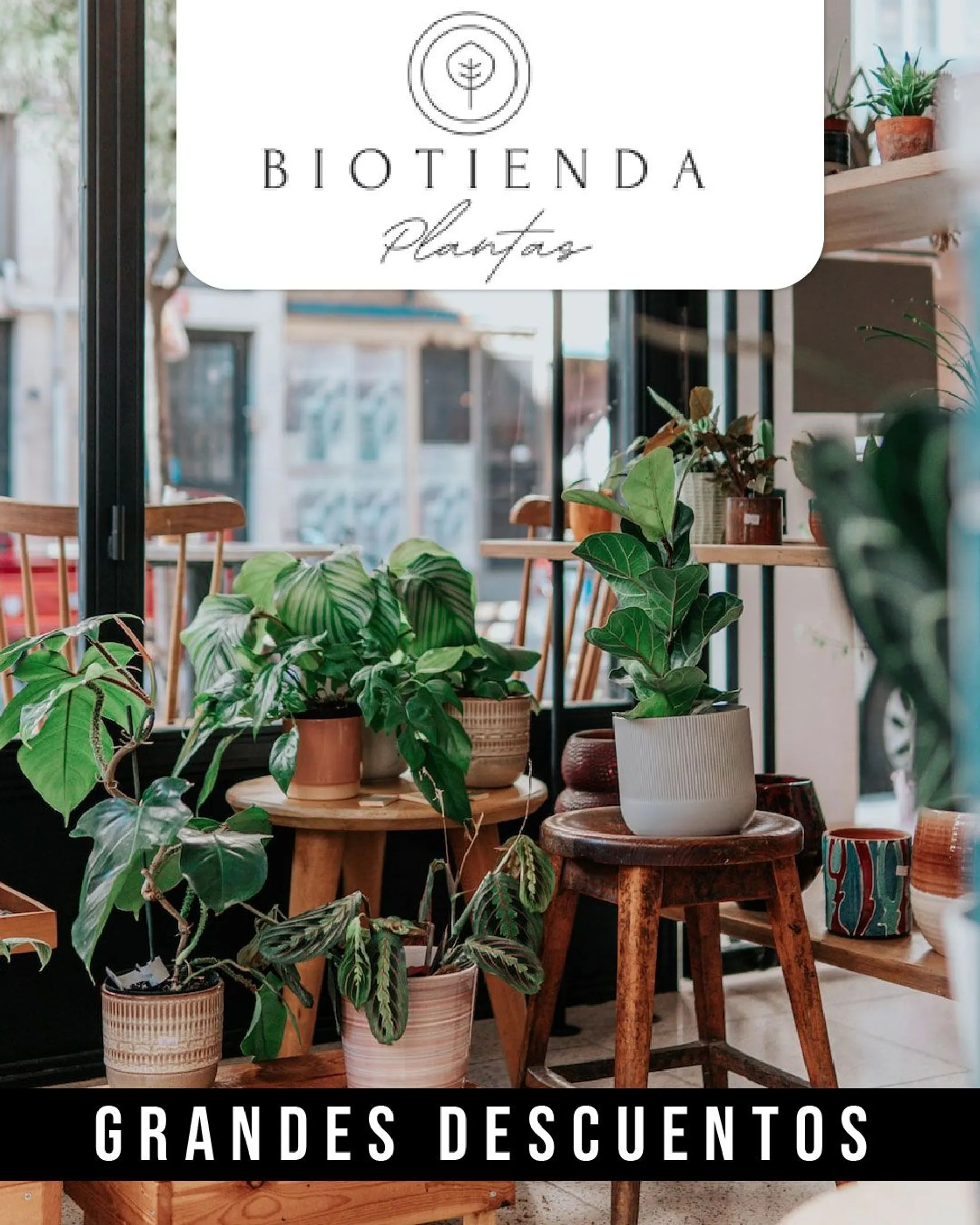 Brochure Cover
