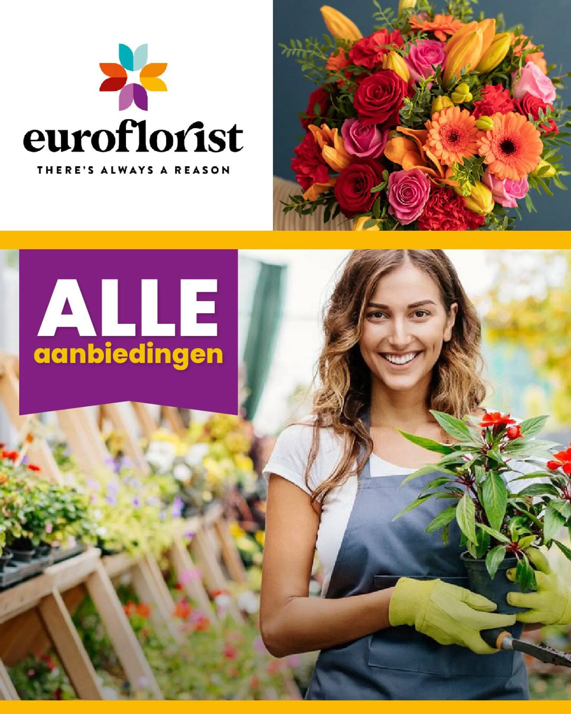 Euroflorist - Florist