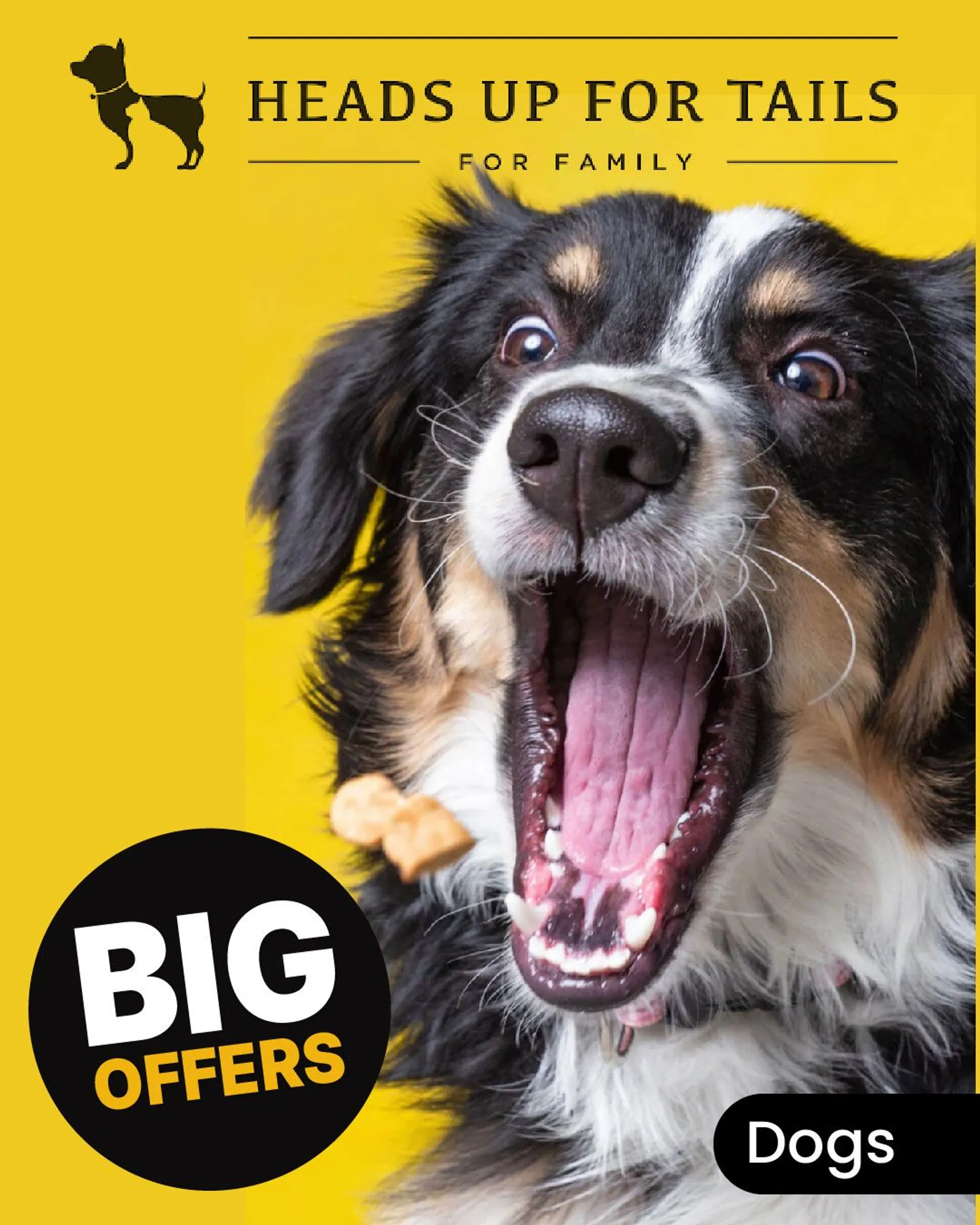 Offers on dog products from 19 May to 24 May 2024 - Catalogue Page 