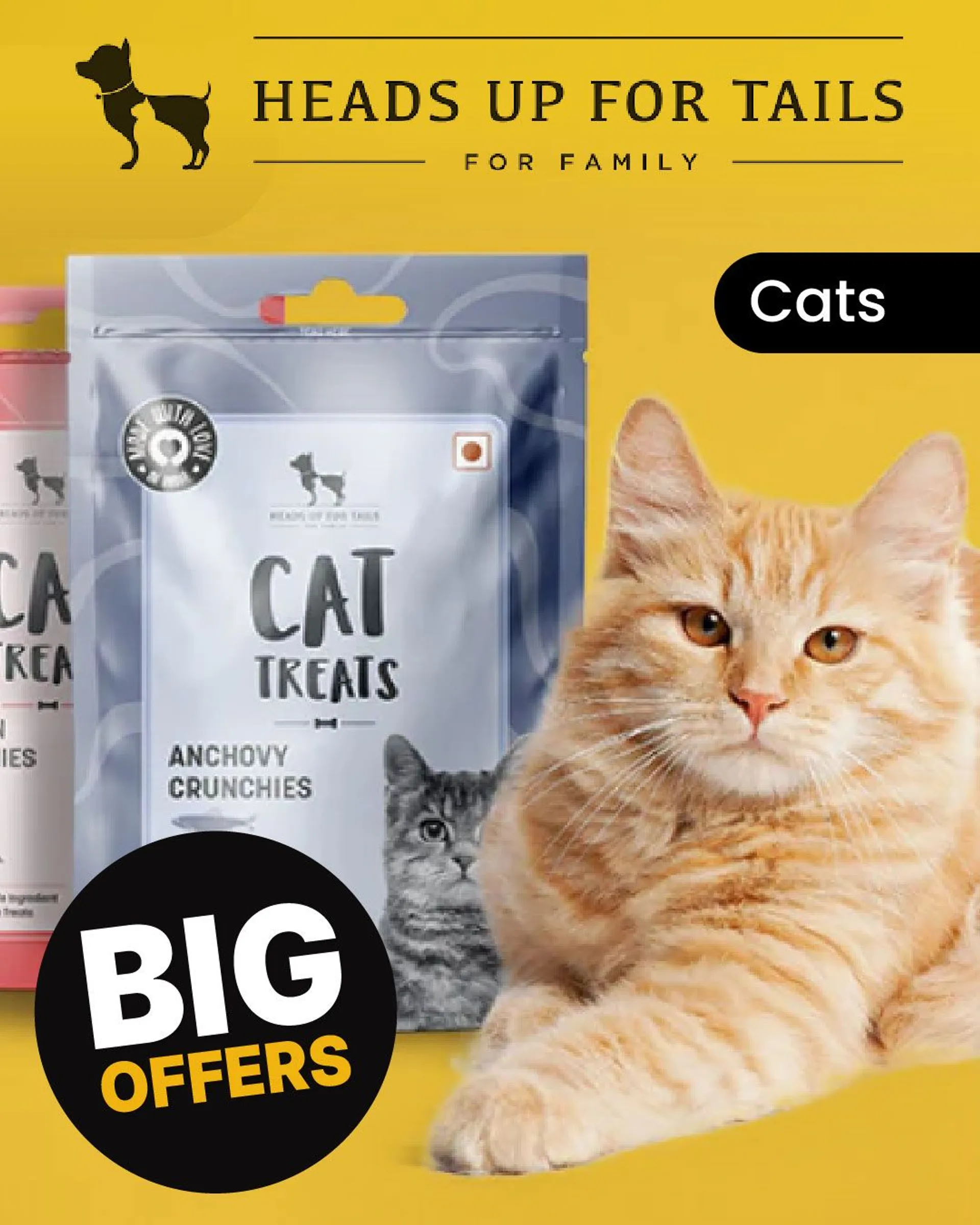 Offers on products for cats from 12 May to 17 May 2024 - Catalogue Page 