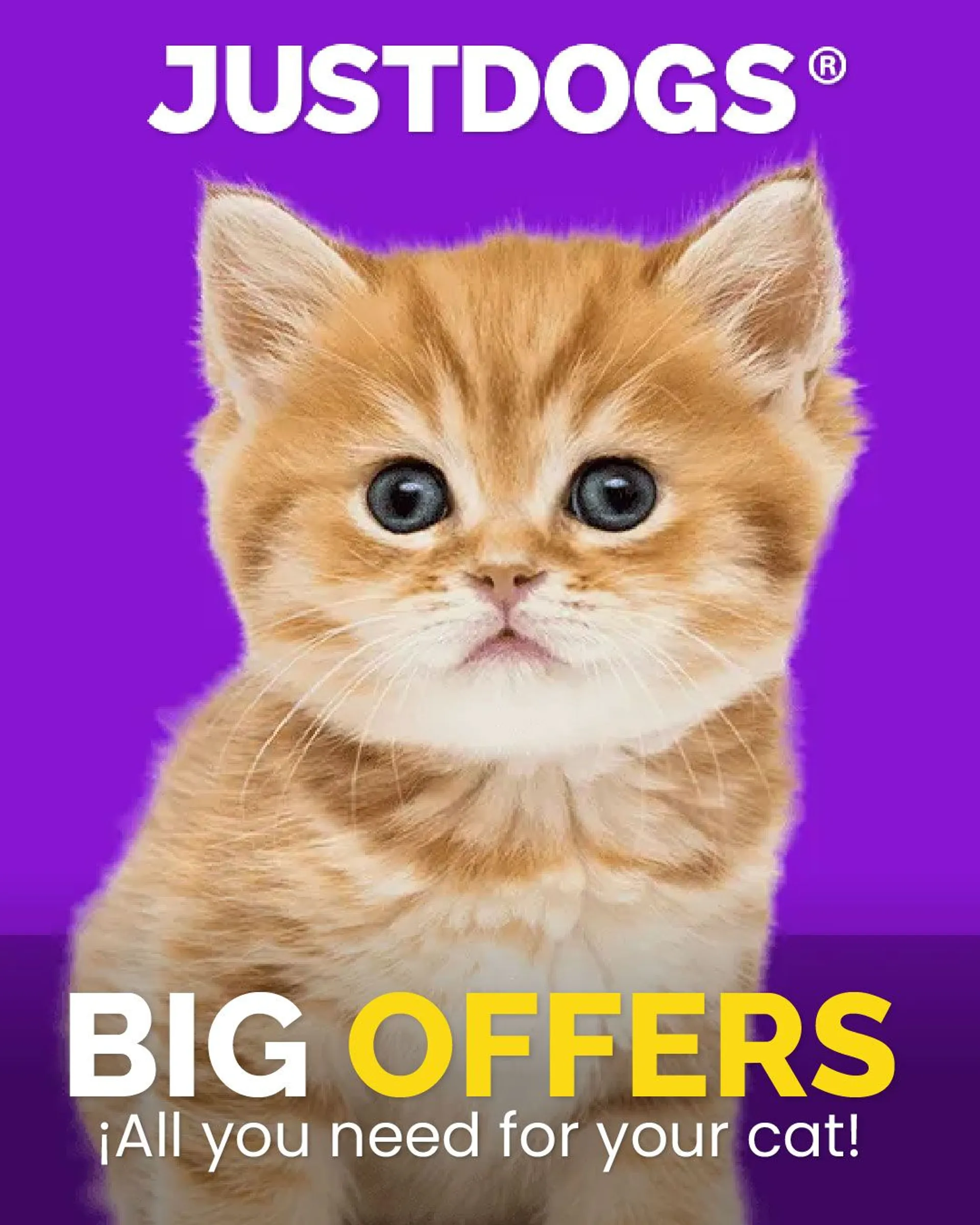Offers on products for cats from 17 May to 22 May 2024 - Catalogue Page 
