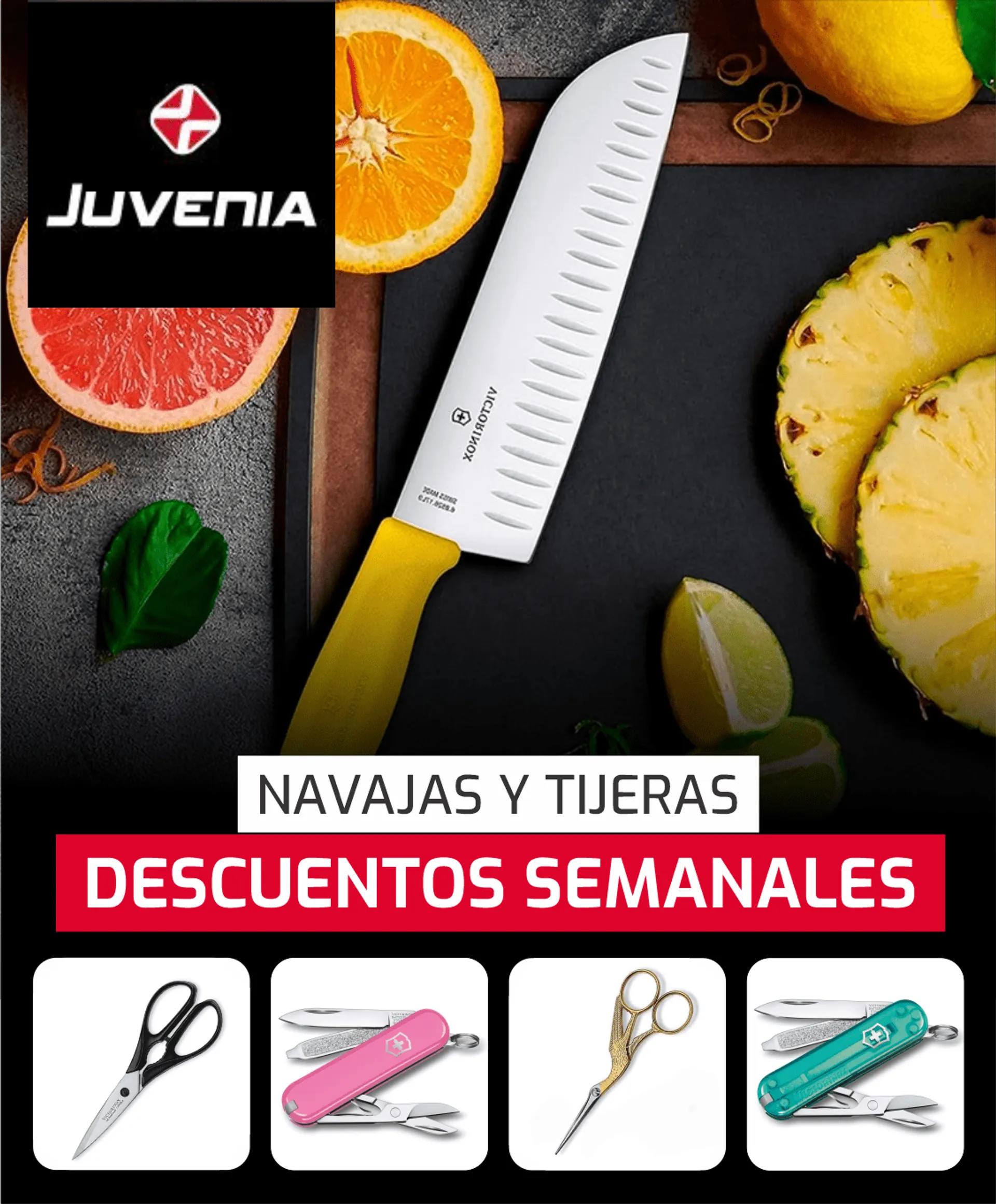 Catalogo de Juvenia ofertas en navajas y tijeras 1 de julio al 6 de julio 2024 - Pag 1