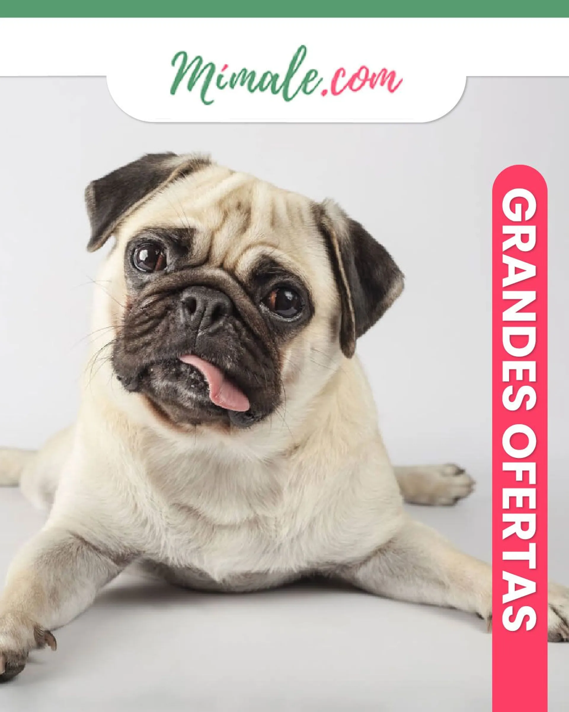 Catálogo de MiMale - Macotas perros 27 de abril al 2 de mayo 2024 - Página 1