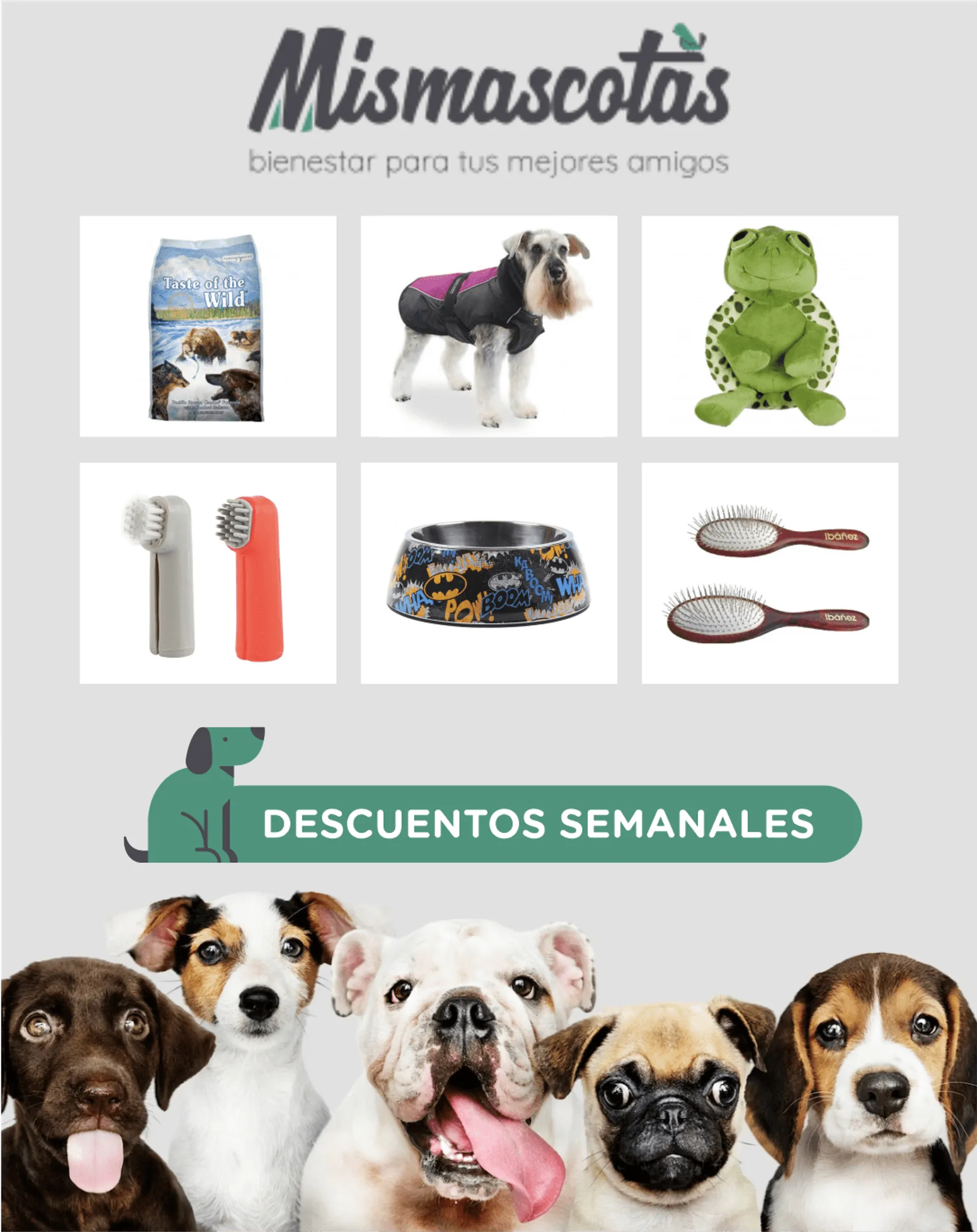 Catálogo de MisMascotas - Mascotas perros 27 de febrero al 3 de marzo 2024 - Página 
