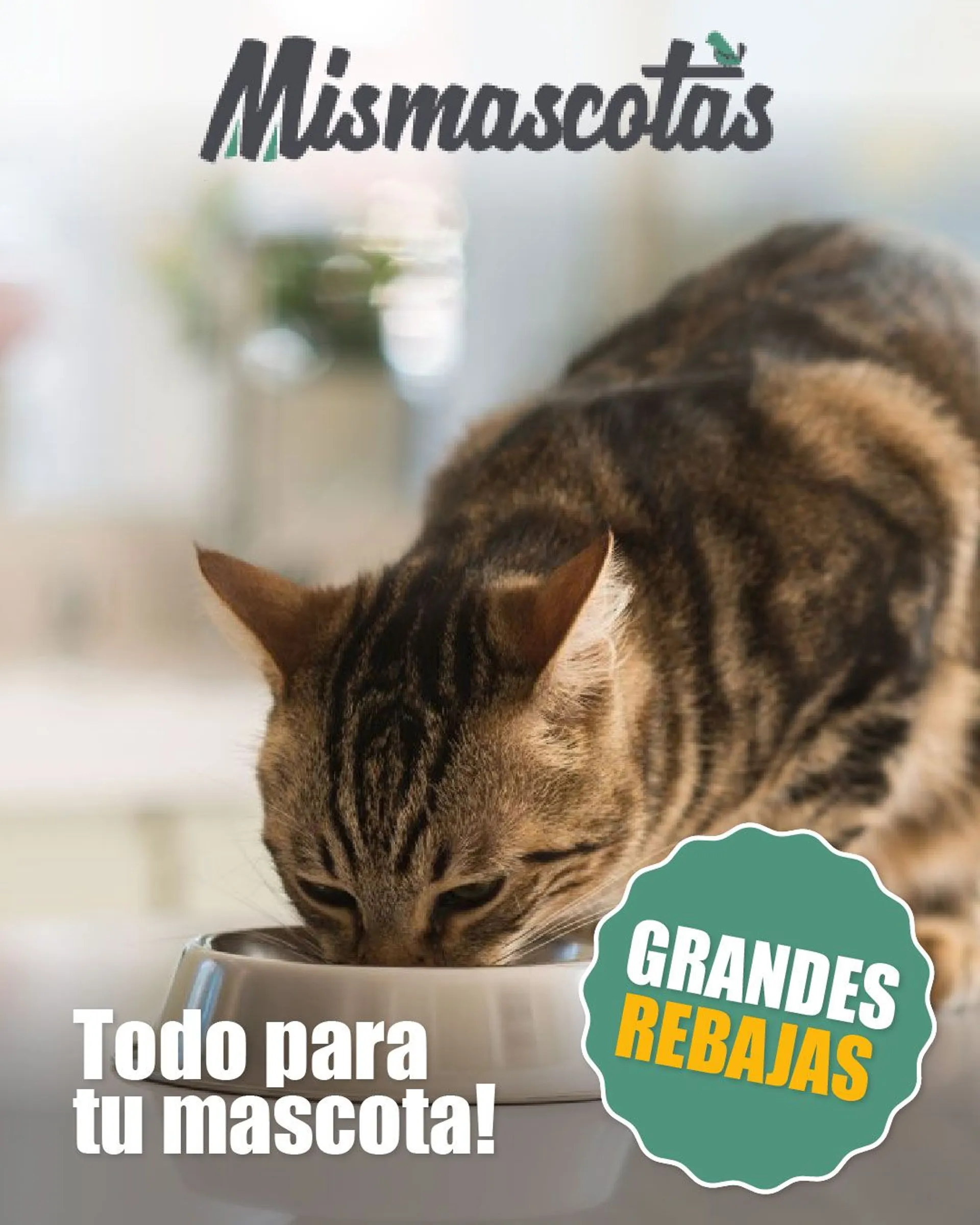 Catálogo de MisMascotas - Mascotas gatos 27 de febrero al 3 de marzo 2024 - Página 