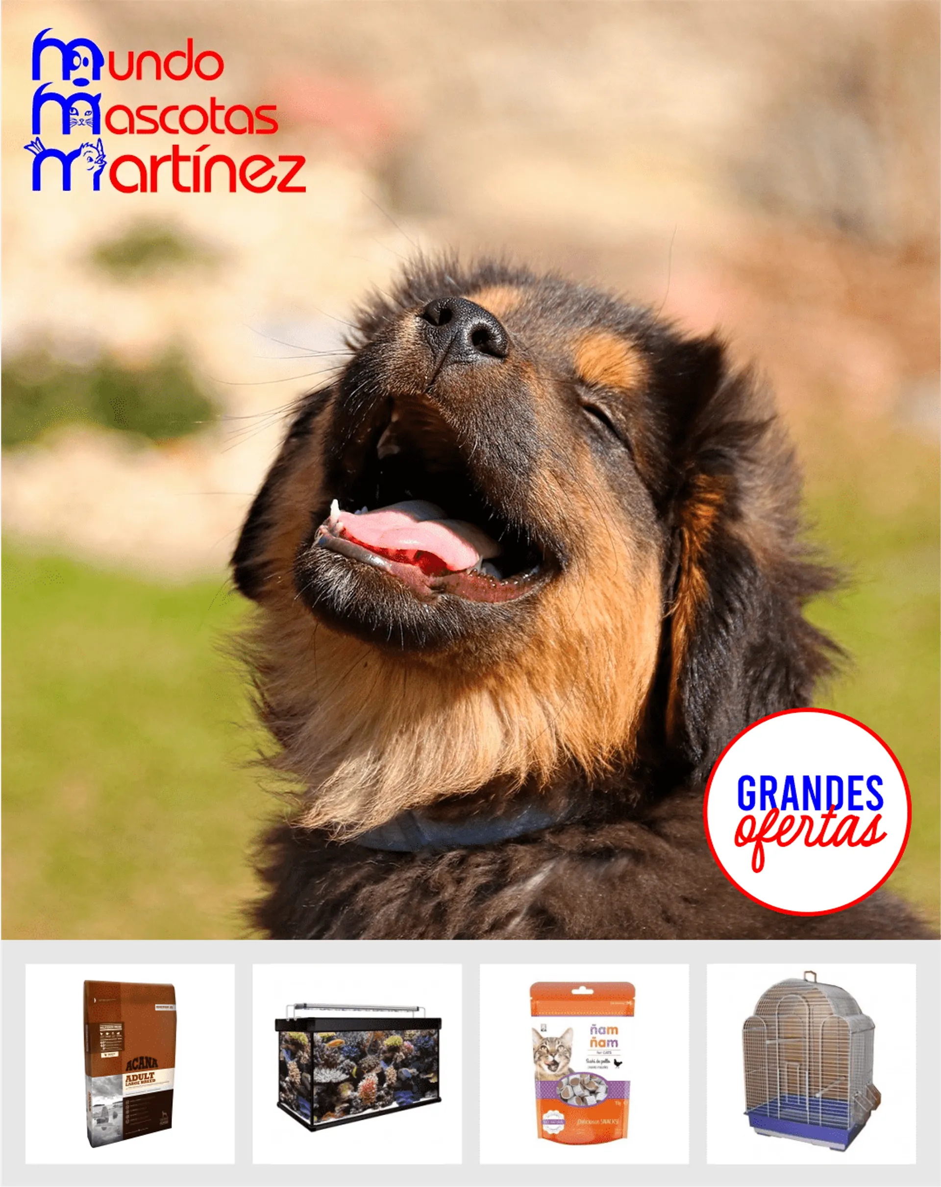 Catálogo de Mundo Mascotas Martinez 26 de febrero al 2 de marzo 2024 - Página 