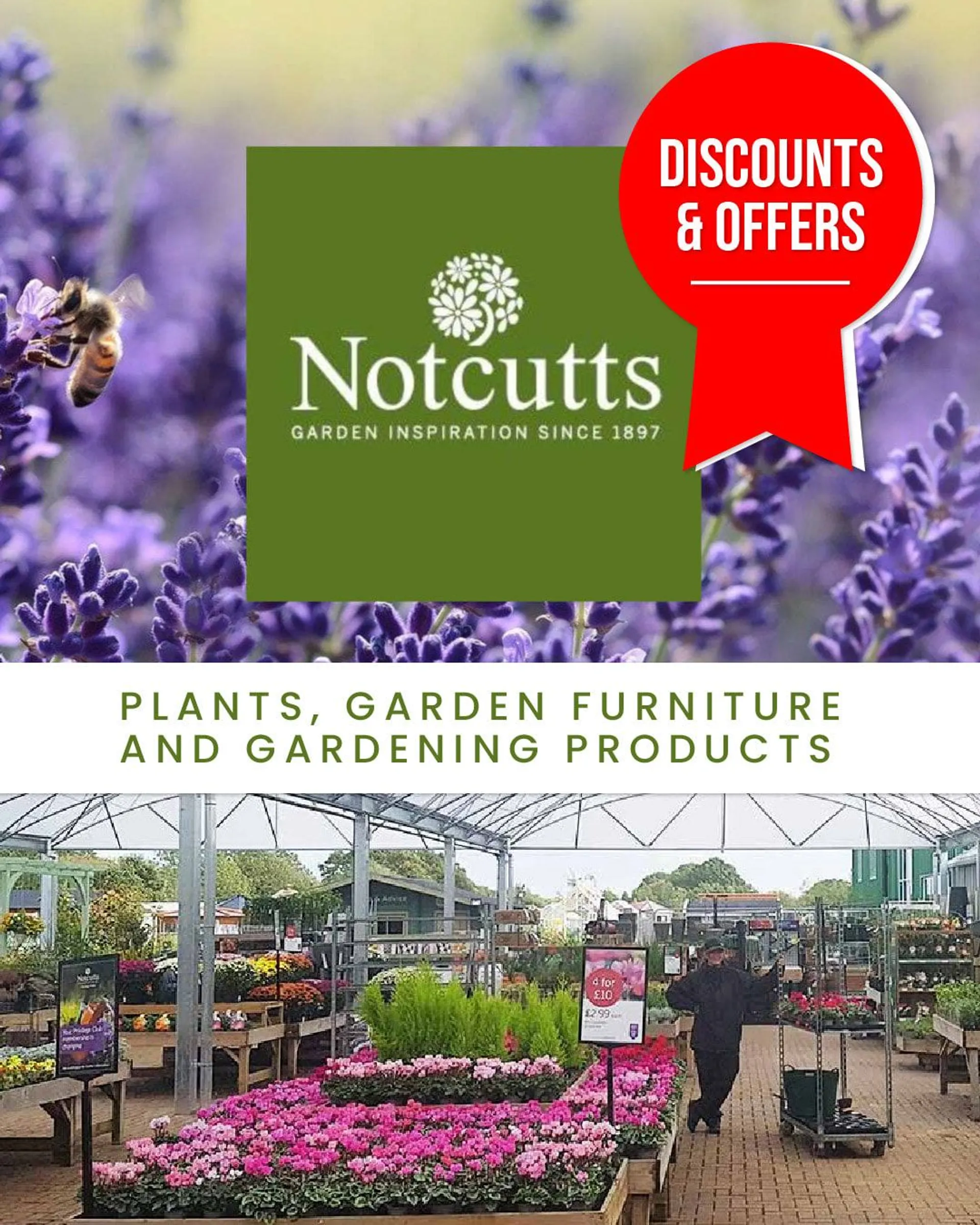 Not Cutts - Gardens from 22 April to 27 April 2024 - Catalogue Page 