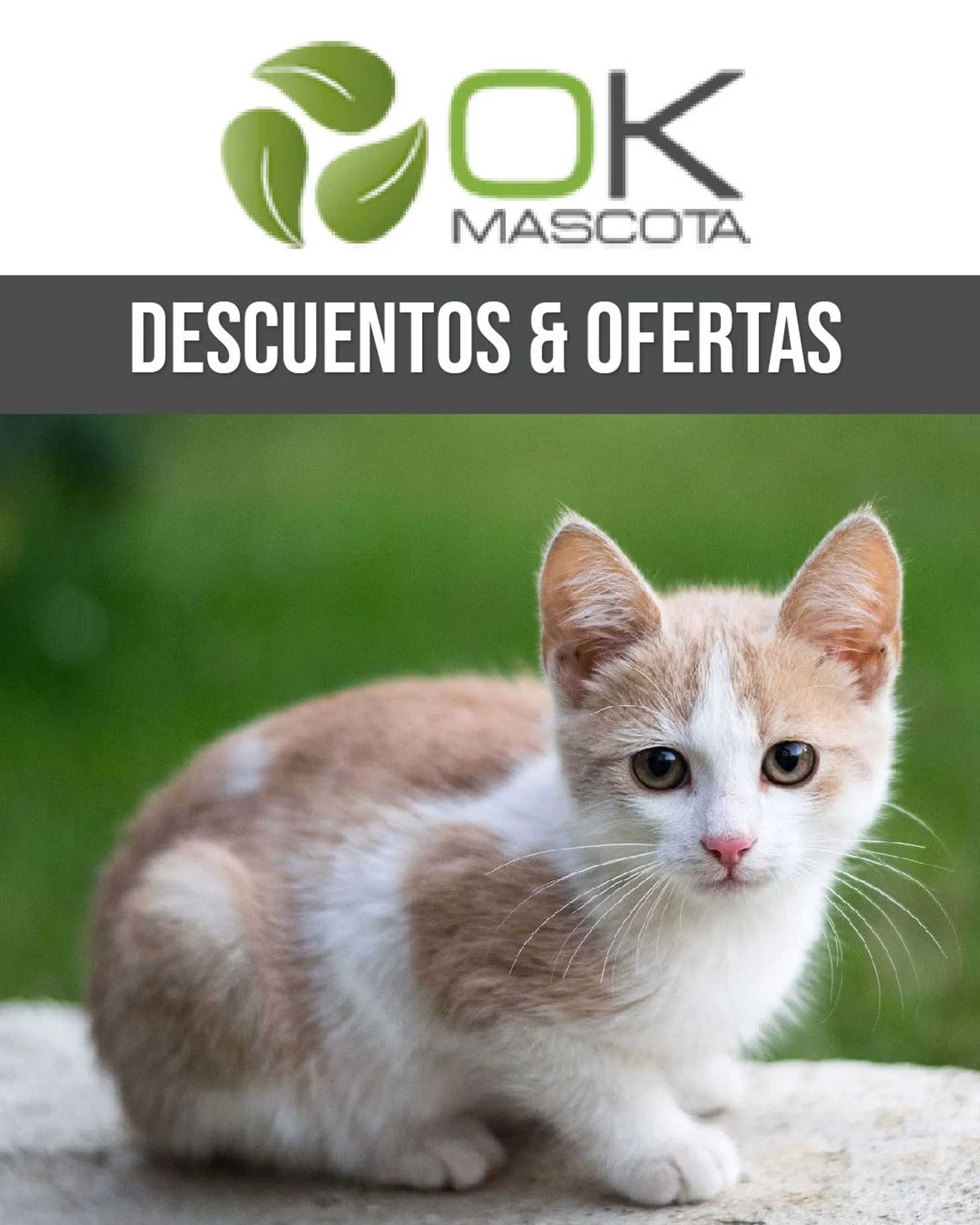 Catálogo de Ok Mascota - Gatos 26 de febrero al 2 de marzo 2024 - Página 