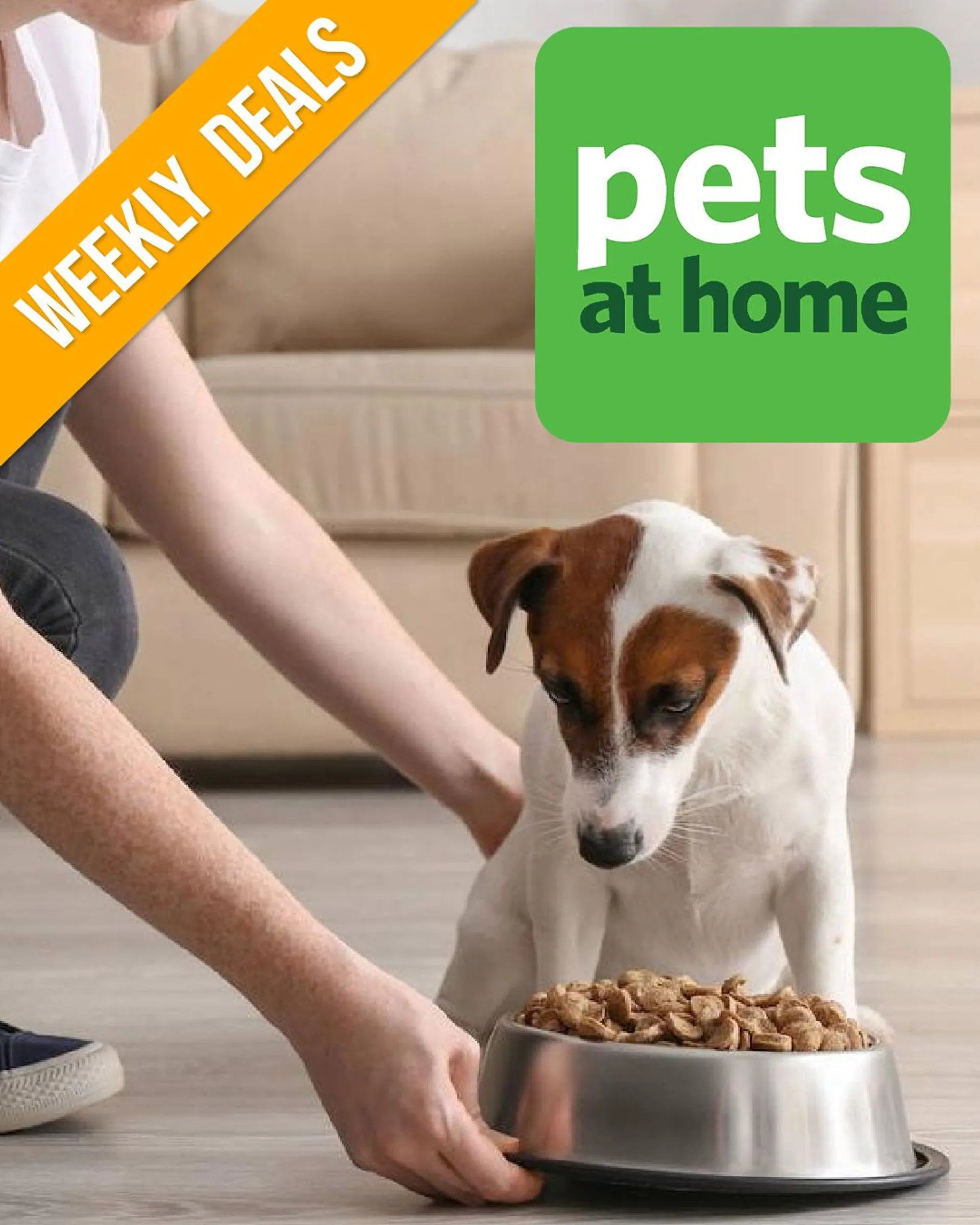 Pets at Home - Pet accesories, Hutches & Food