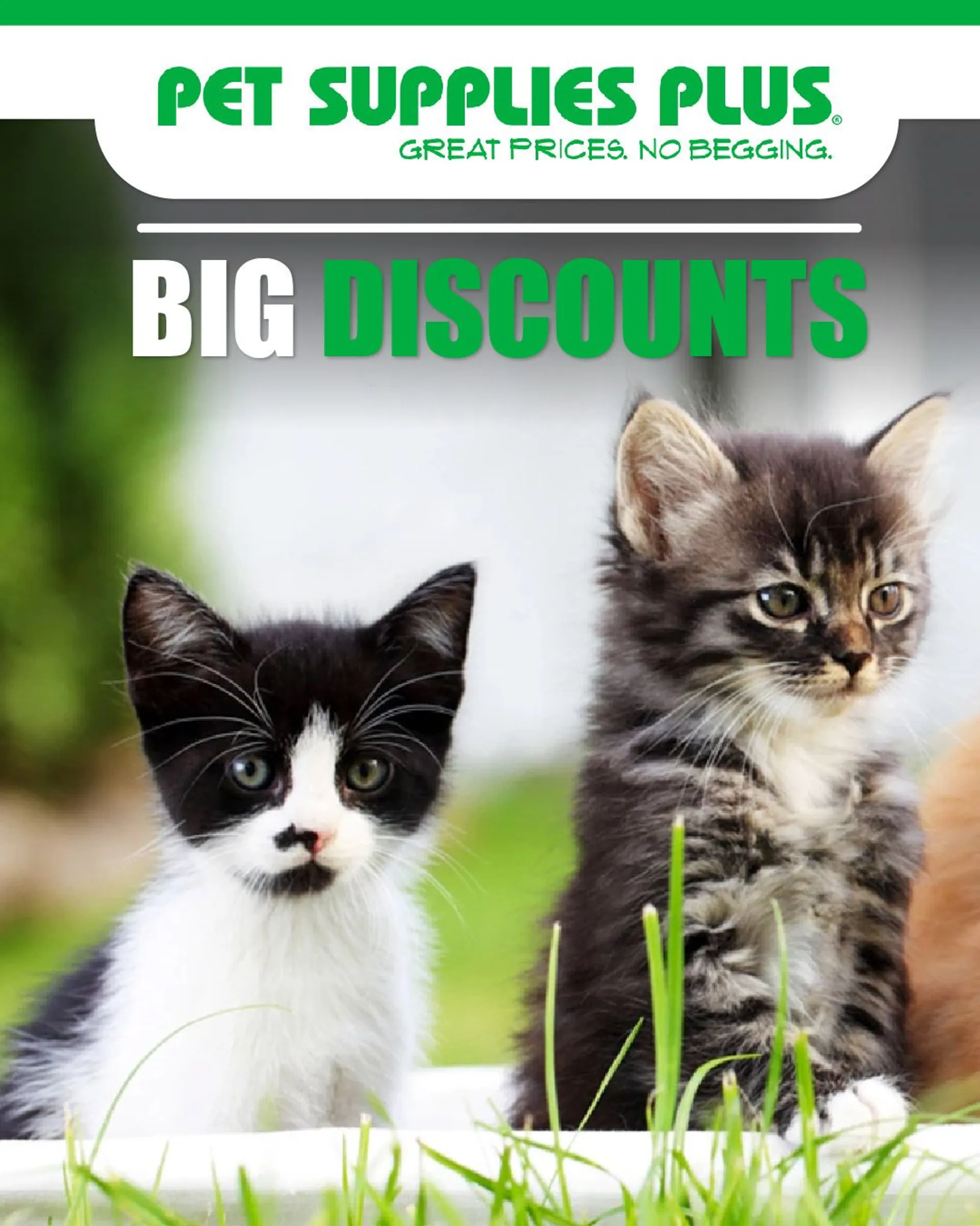 Weekly ad Pet Supplies Plus - Cats from April 25 to April 30 2024 - Page 