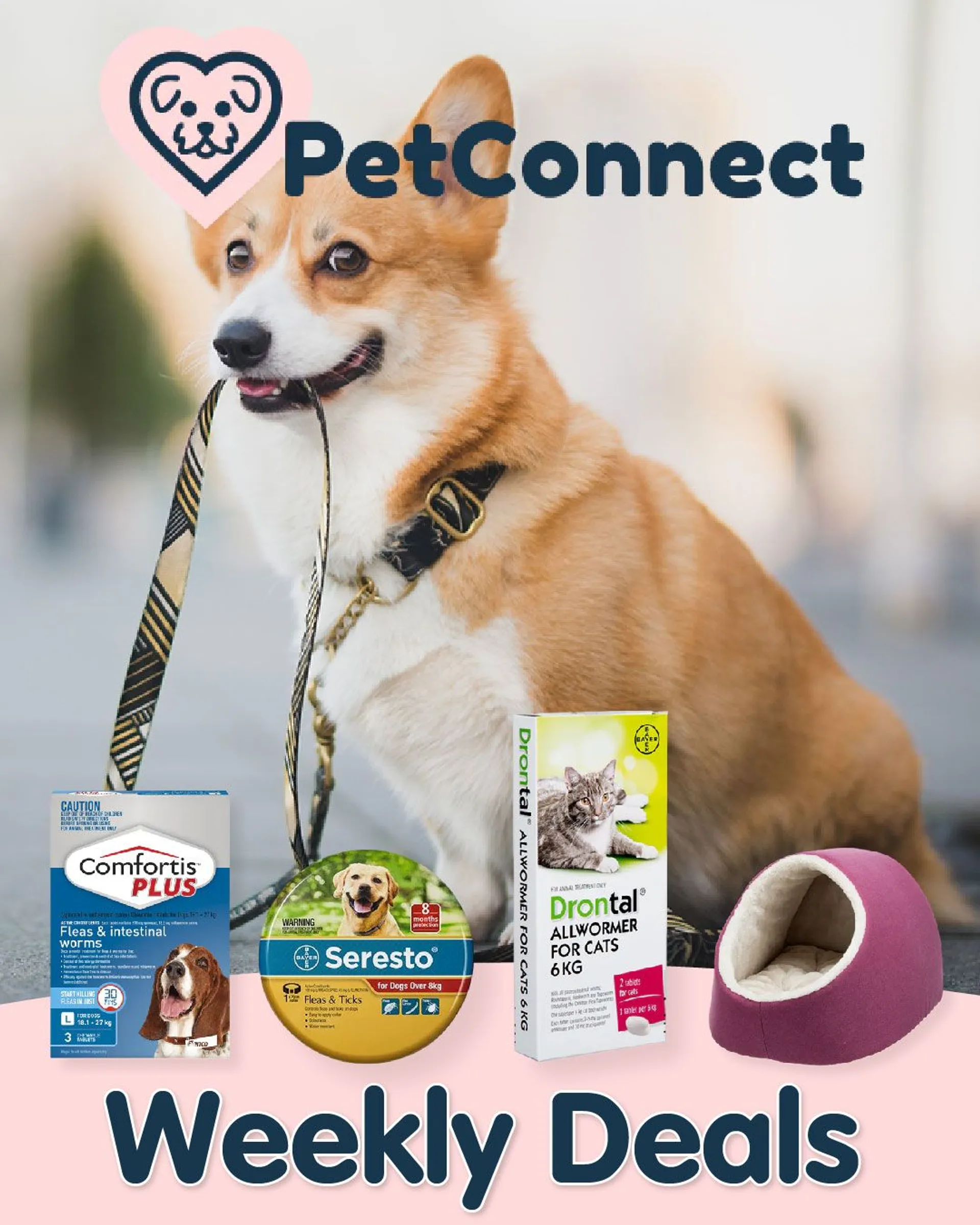 Pet Connect - Pet supplies - 16 March 21 March 2024 - Page 1