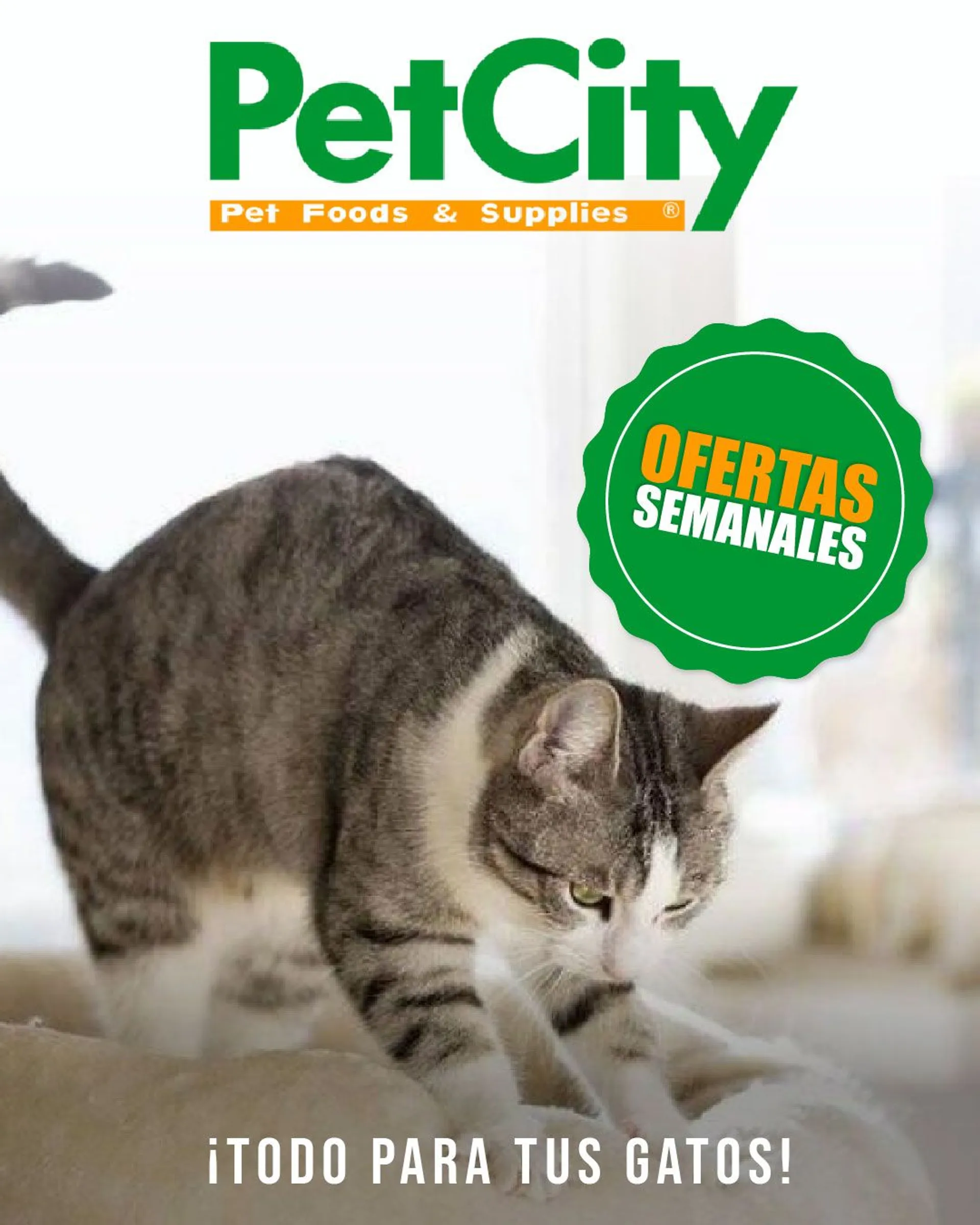 Catálogo de Pet City - Alimentos y accesorios Gatos 11 de abril al 16 de abril 2024 - Página 1
