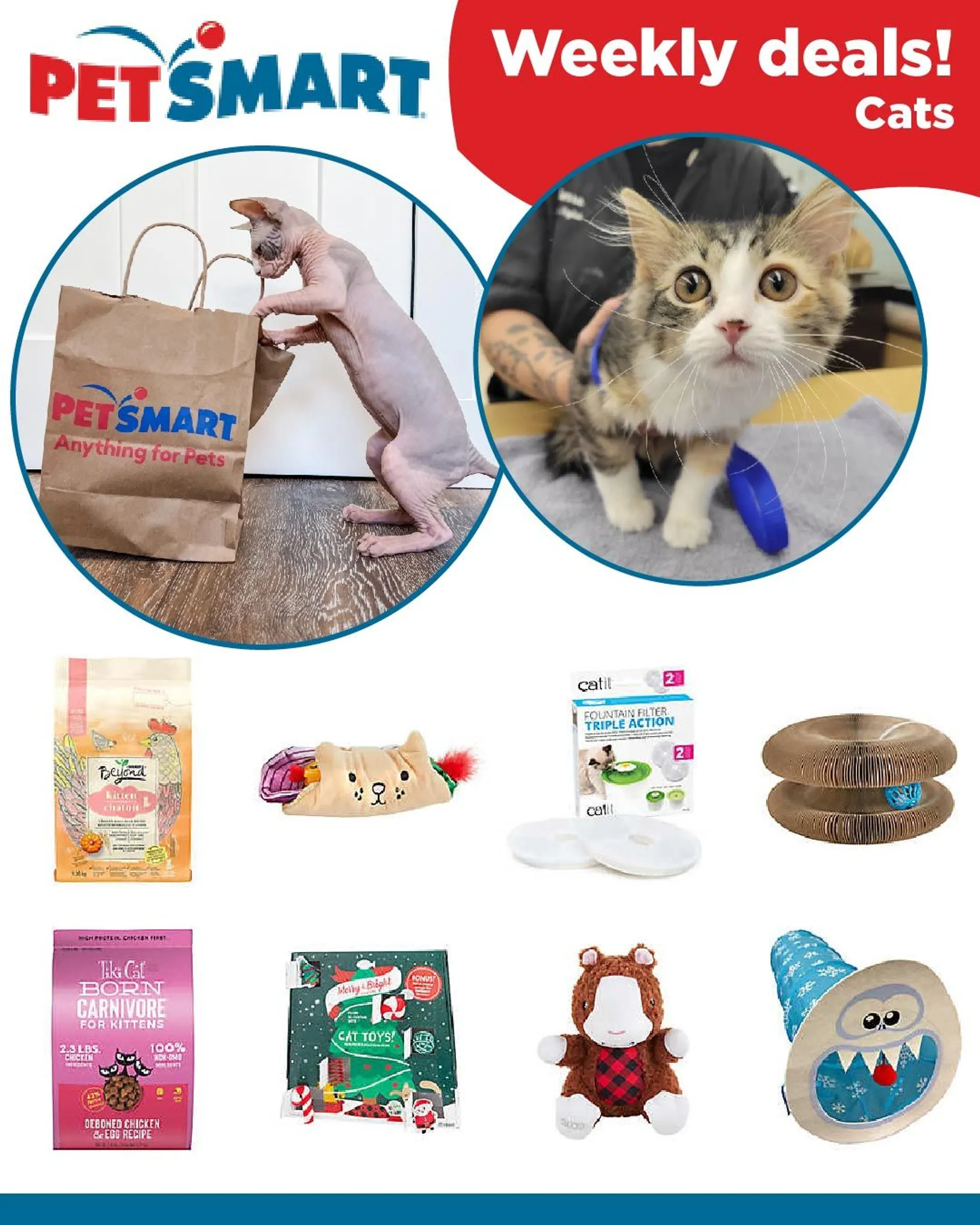 PetSmart - Cats from February 22 to February 27 2024 - flyer page 