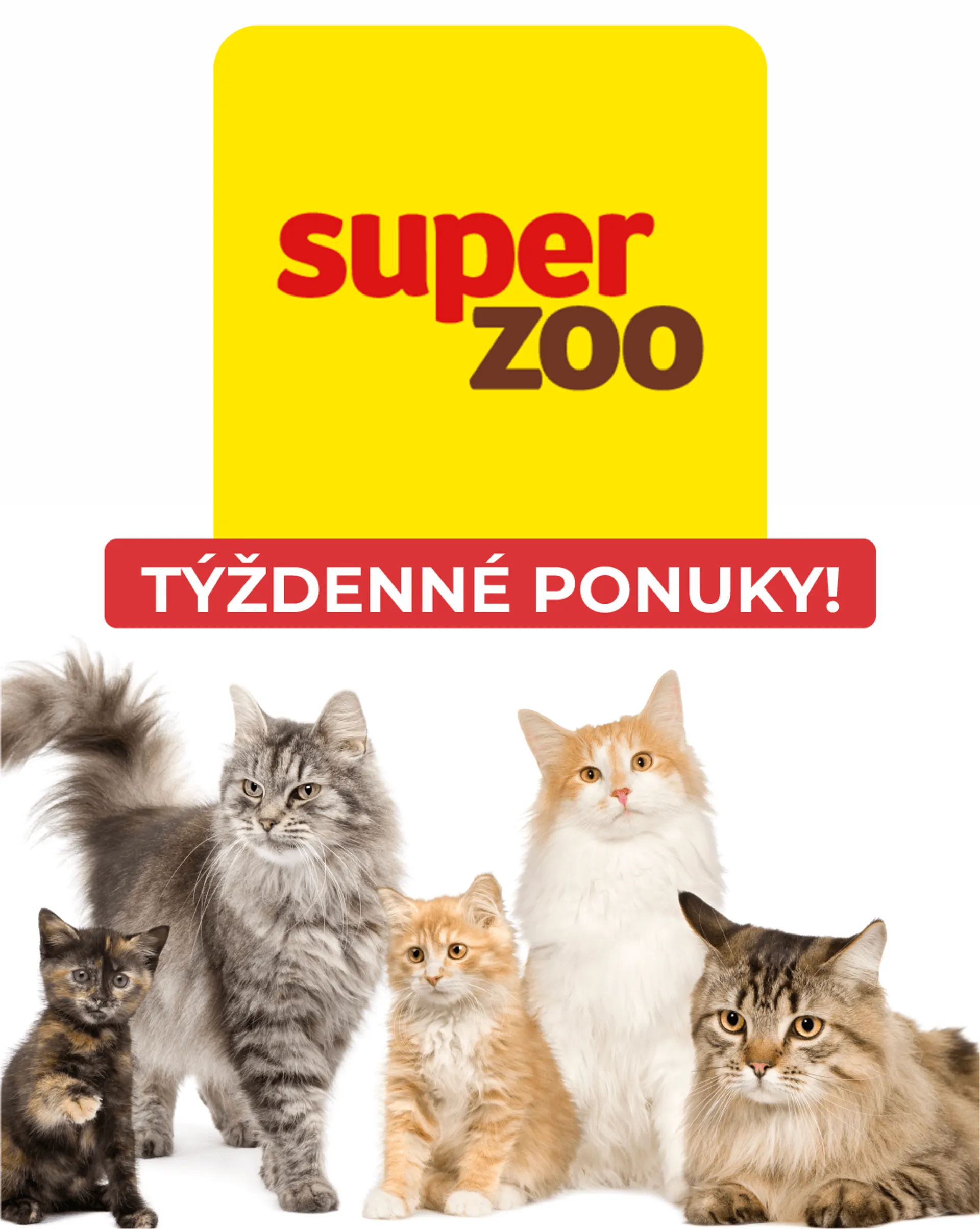 Super Zoo - Macky - 27. marca 1. apríla 2024