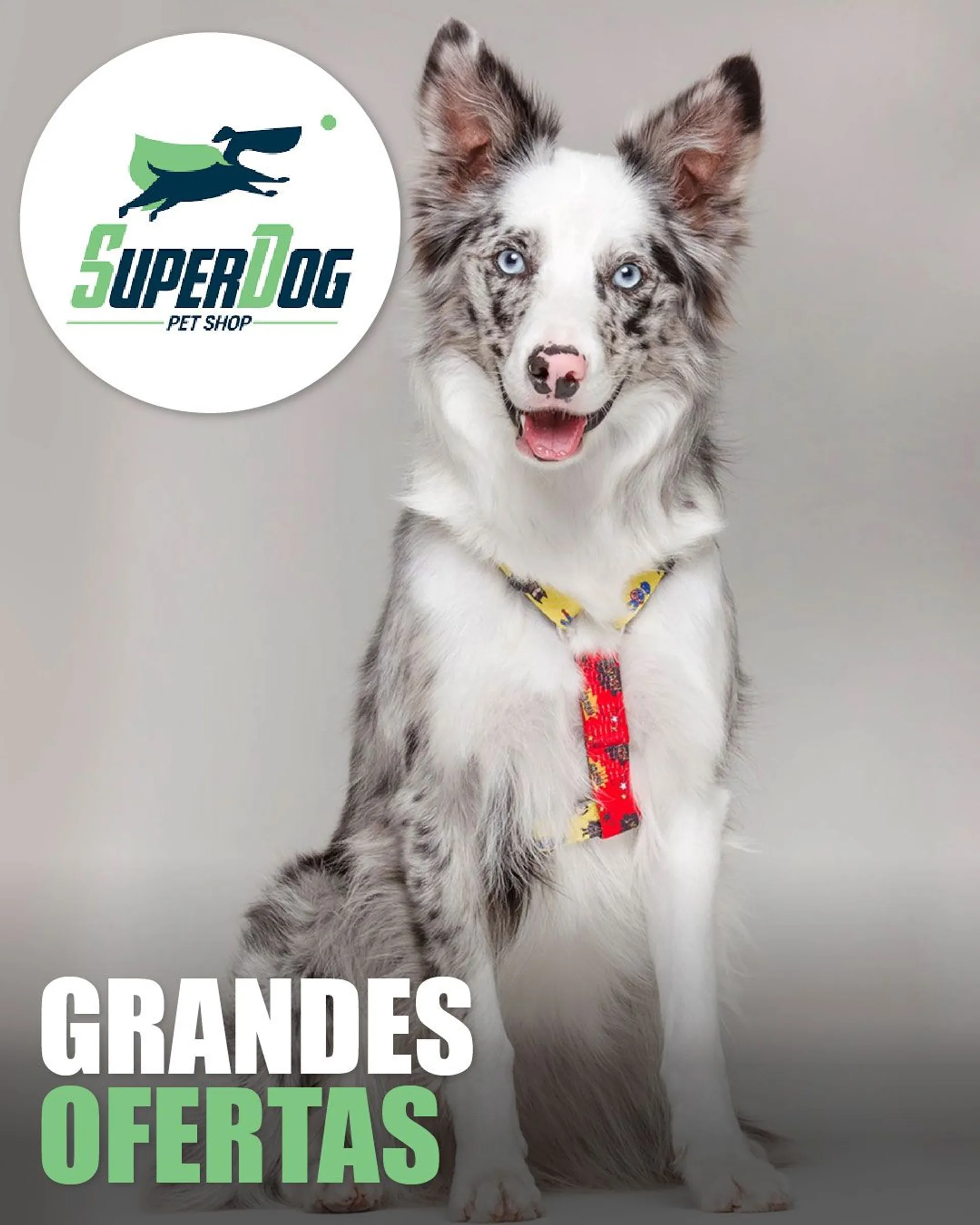 Catálogo de Super Dog Pet Shop - Perros 15 de abril al 20 de abril 2024 - Página 1
