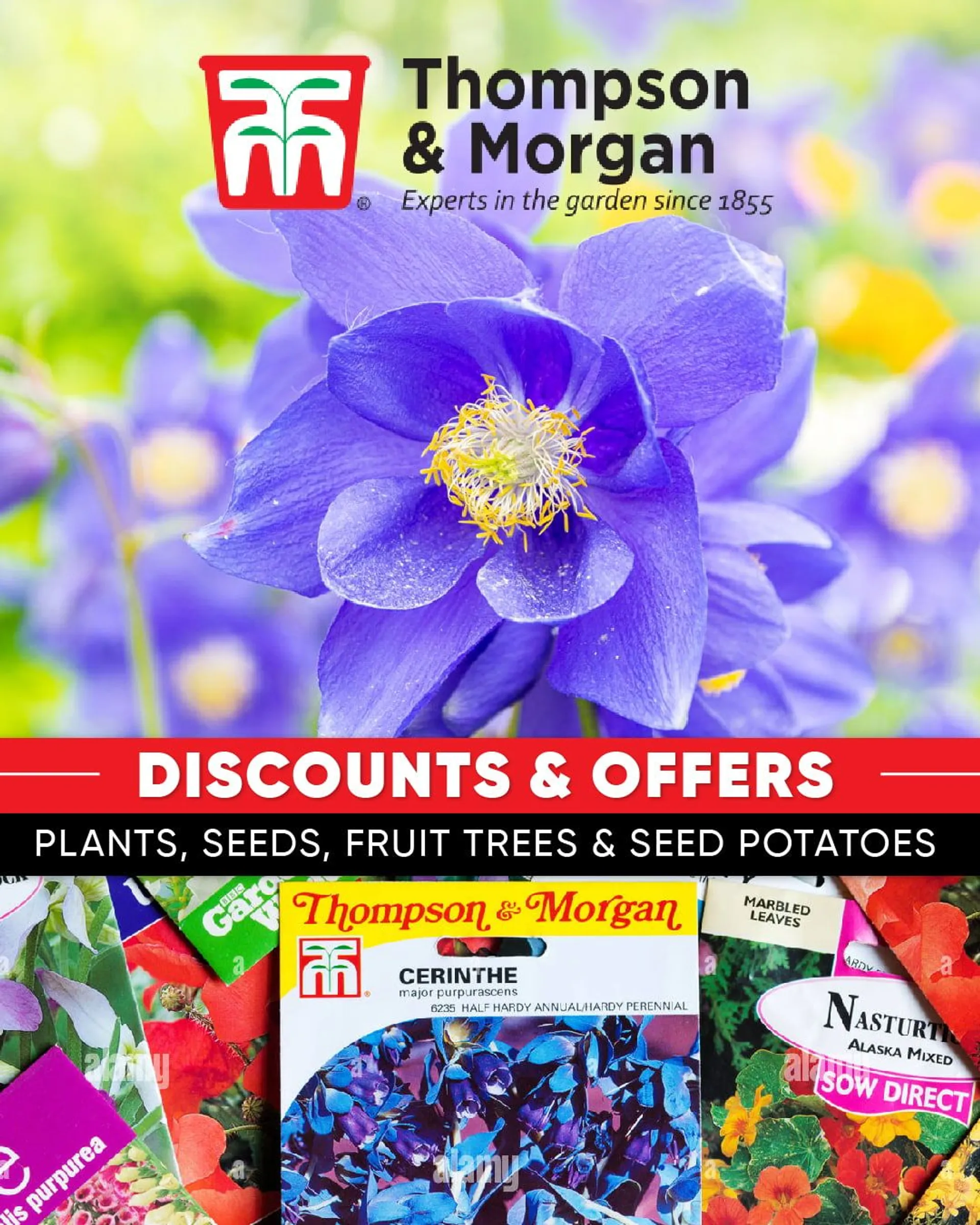 Thompson & Morgan - Flowers from 27 April to 2 May 2024 - Catalogue Page 