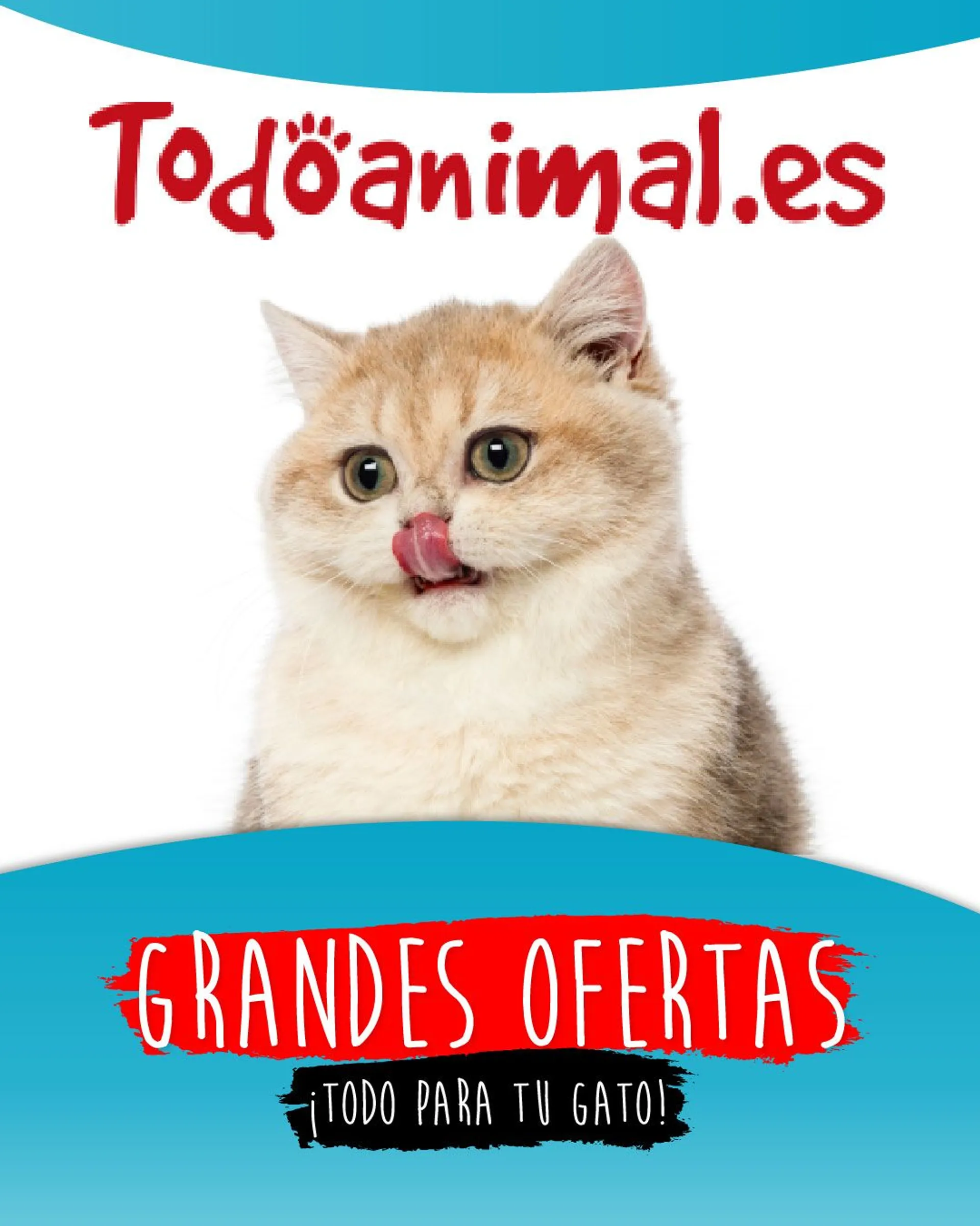 Catálogo de TodoAnimal - Mascotas gatos 27 de febrero al 3 de marzo 2024 - Página 