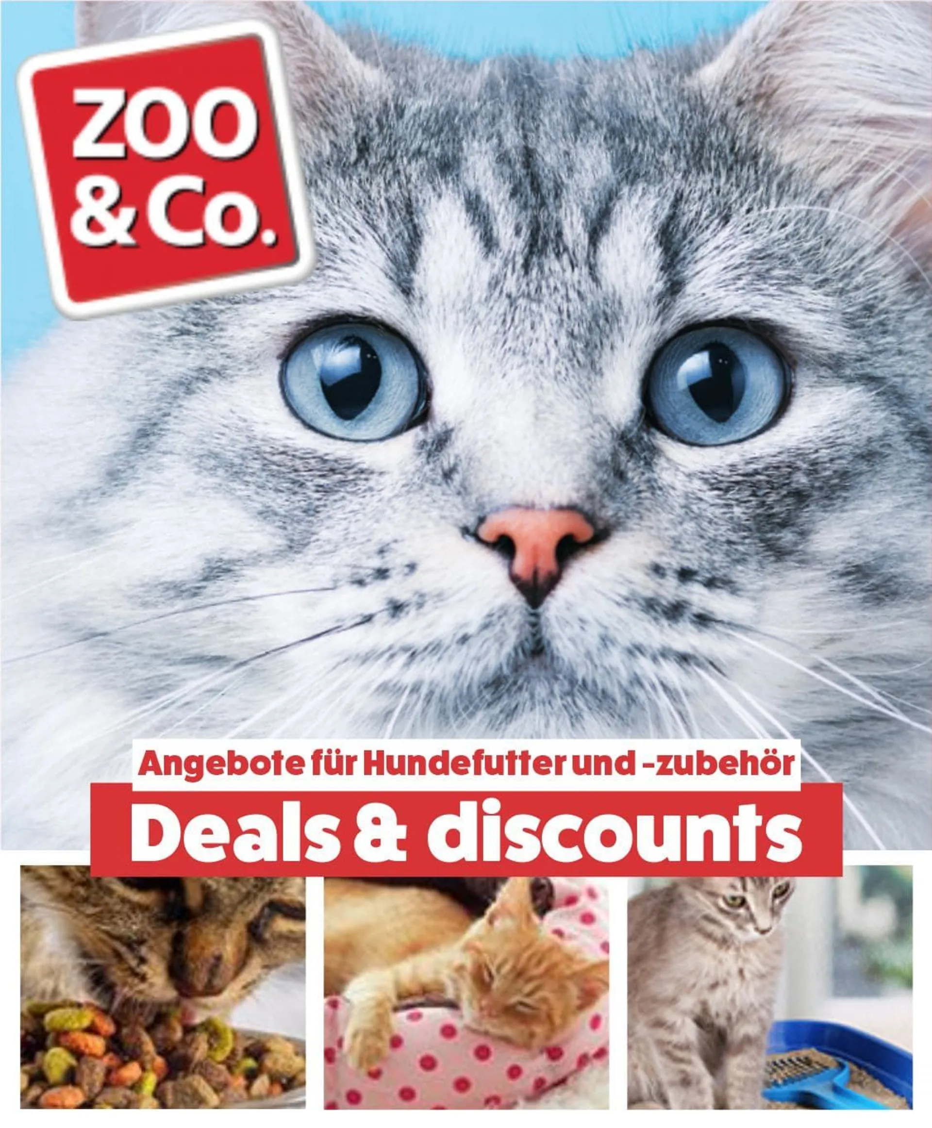 Angebote für Katzenfutter und -zubehör von 22. April bis 27. April 2024 - Flugblätt seite  
