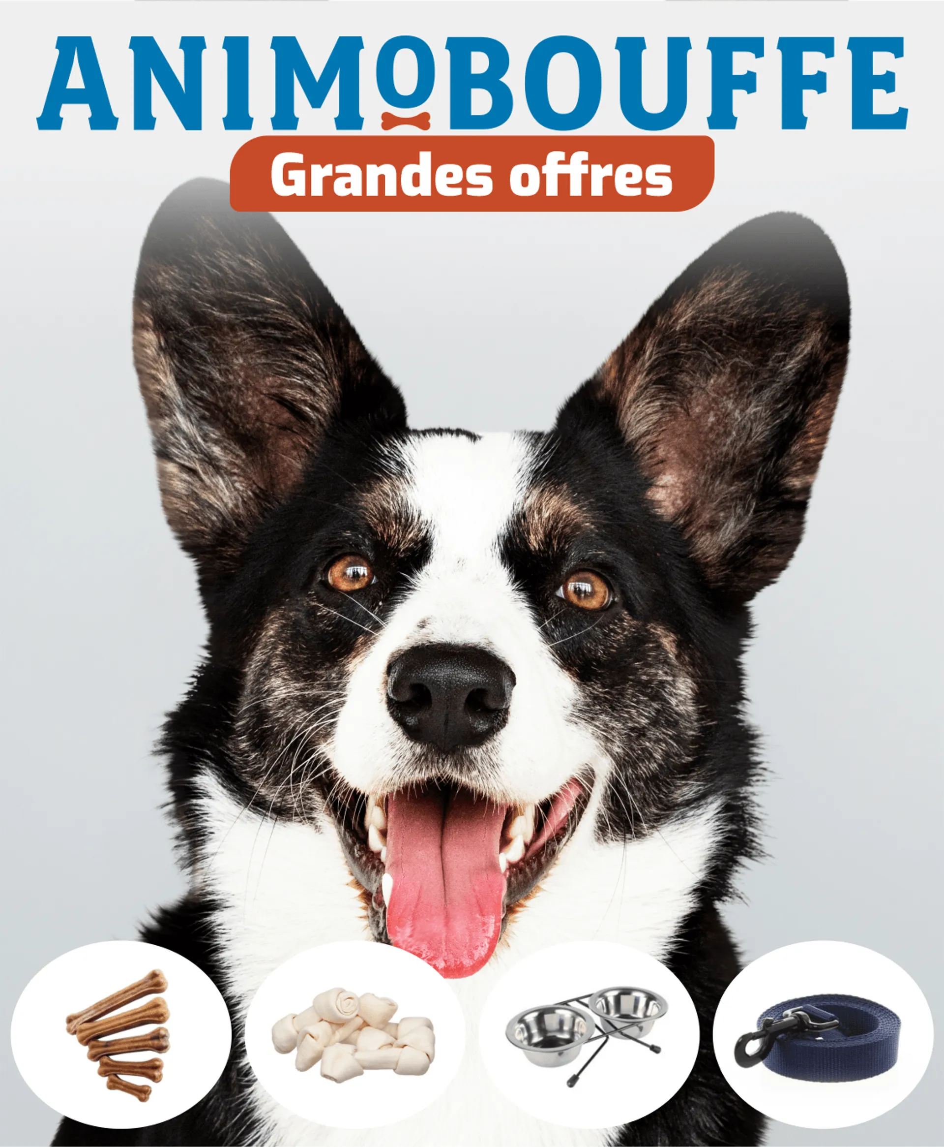 Offres sur les aliments et accessoires pour chiens du 27 avril au 2 mai 2024 - Circulaires page 1