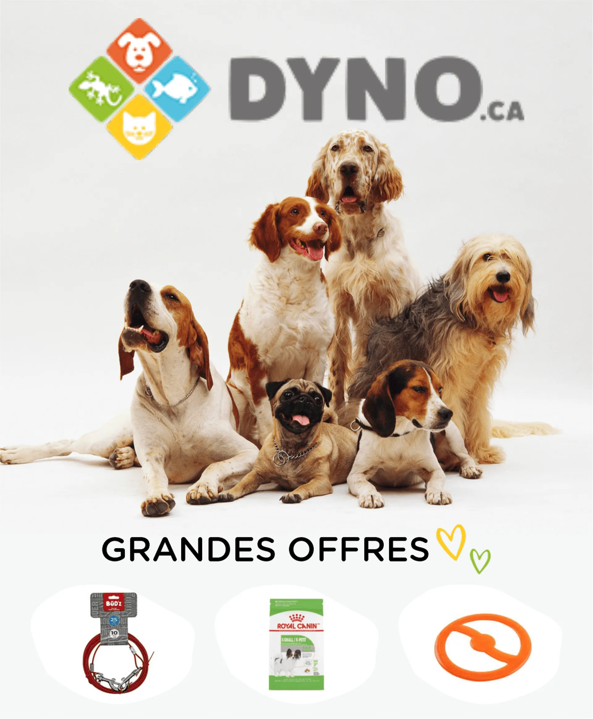 Offres sur les accessoires pour chiens du 4 mai au 9 mai 2024 - Circulaires page 