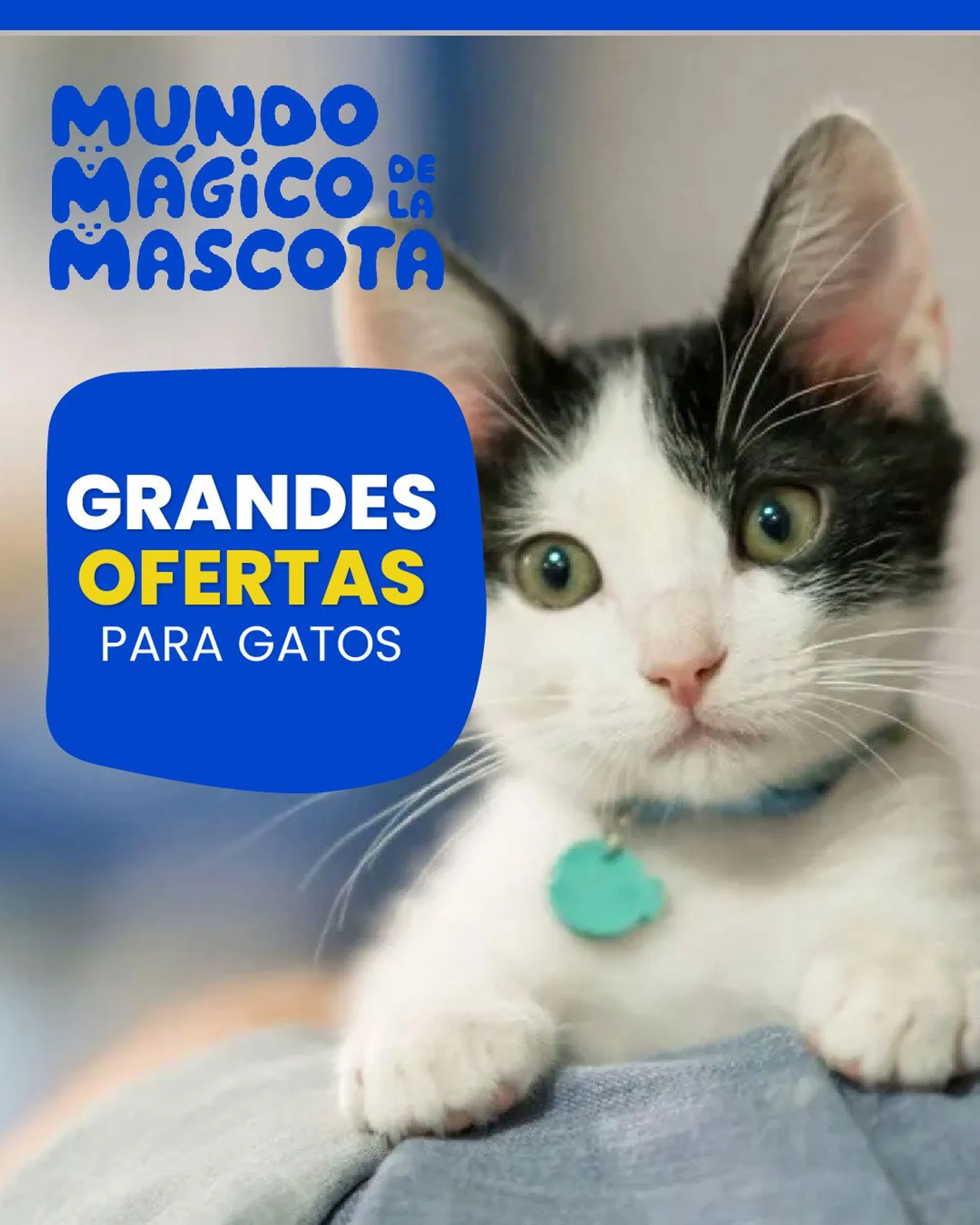Catalogo de Ofertas en productos para gatos 6 de mayo al 11 de mayo 2024 - Pag 