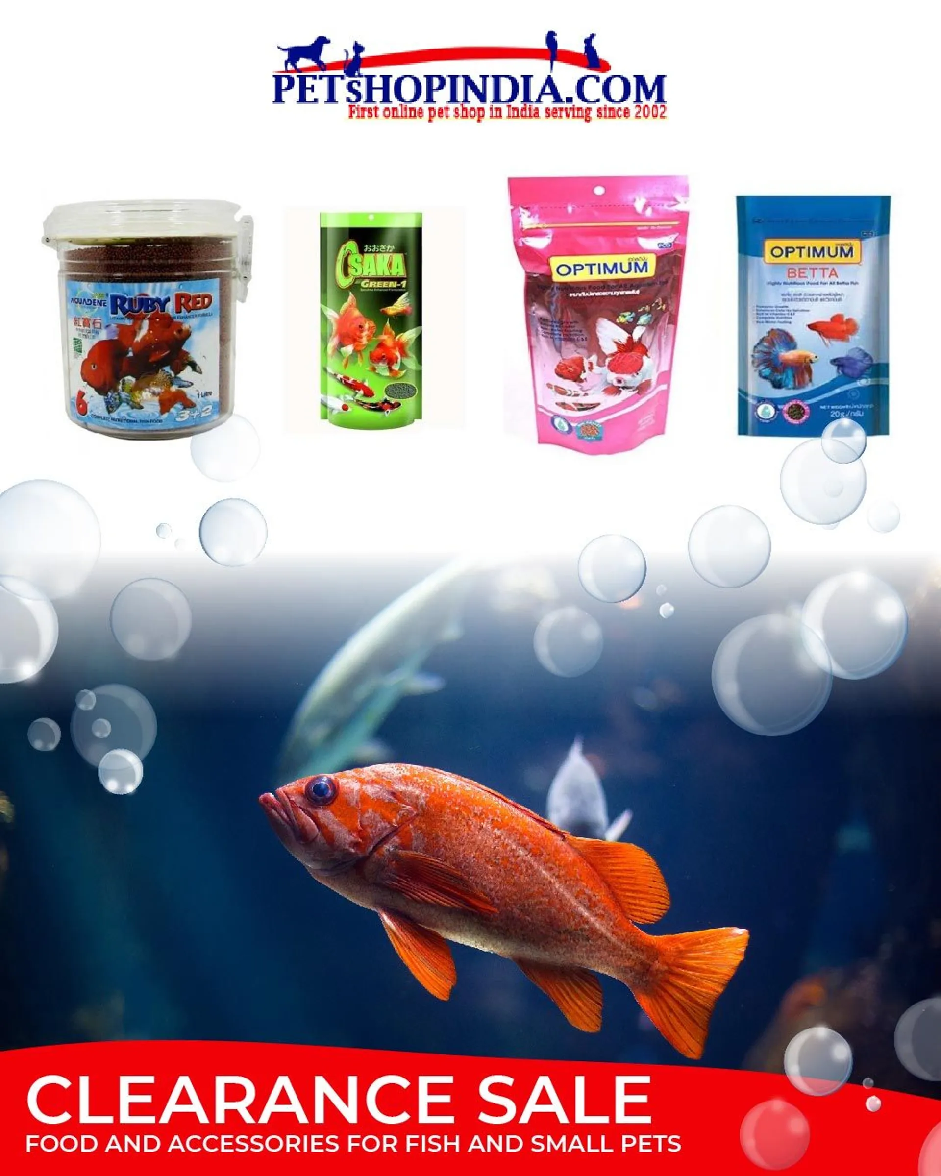 Offers on articles for fish and small pets from 19 May to 24 May 2024 - Catalogue Page 