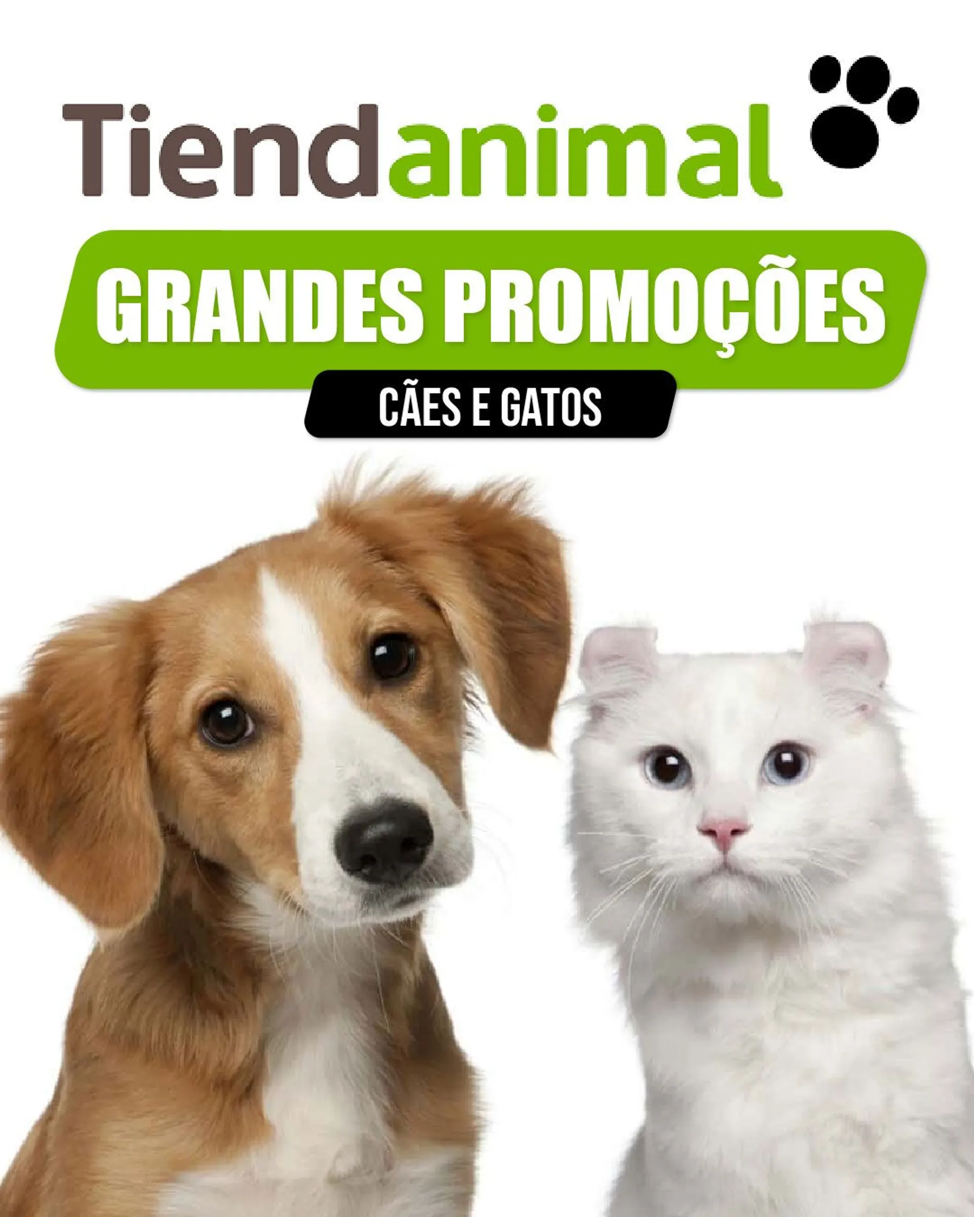 Folheto Tiendanimal - Cães e gatos de 26 de março até 31 de março 2024 - Pagina 