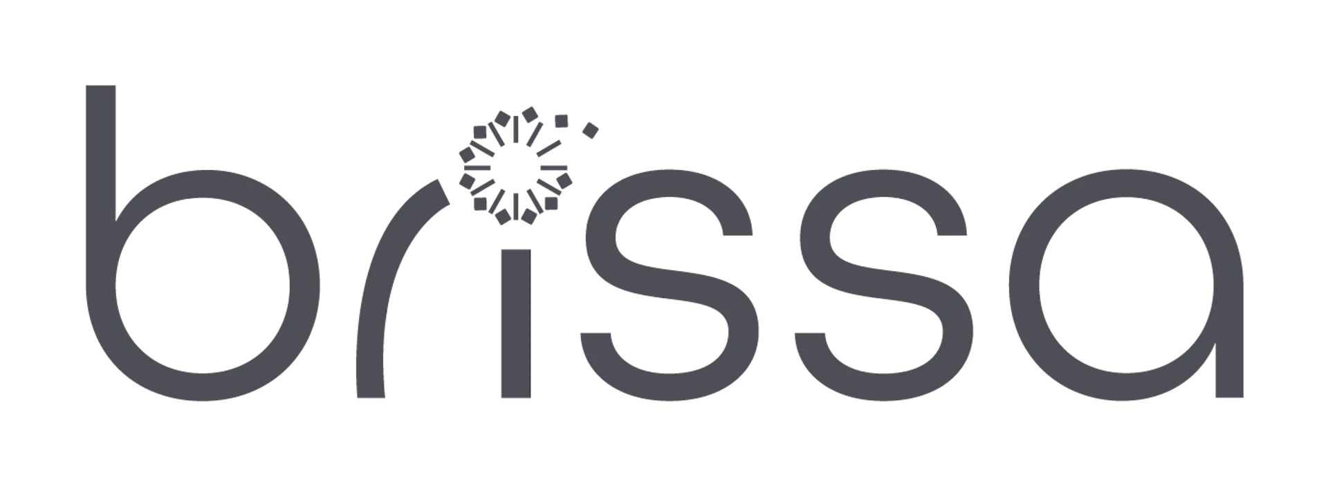 BRISSA logo