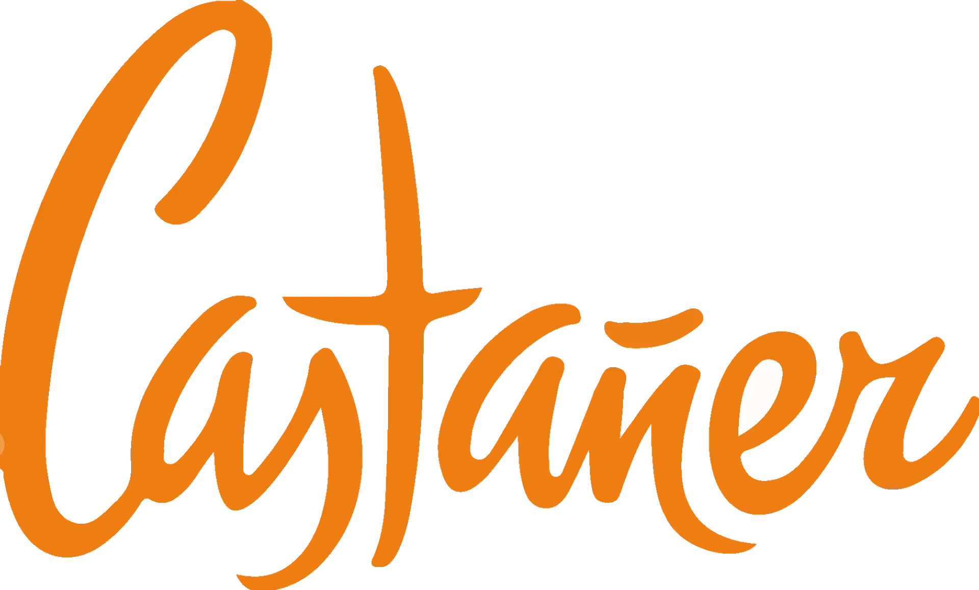 CASTAÑER logo