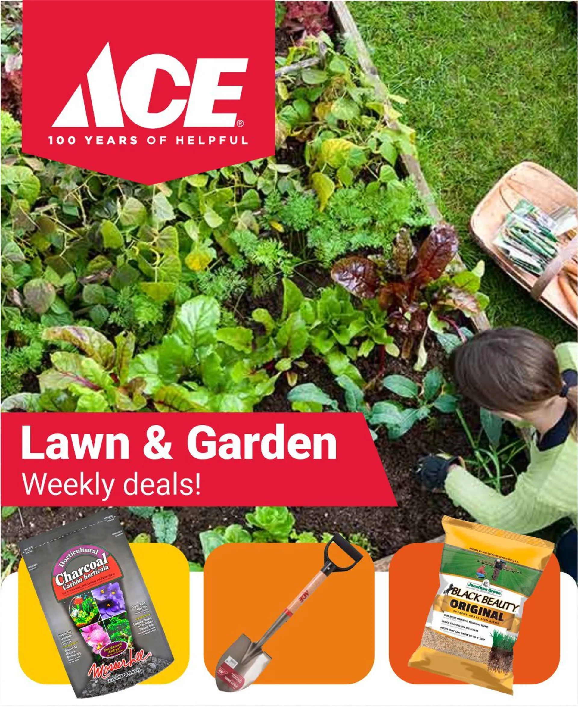 Weekly ad Lawn & Garden from October 27 to November 4 2024 - Page 1