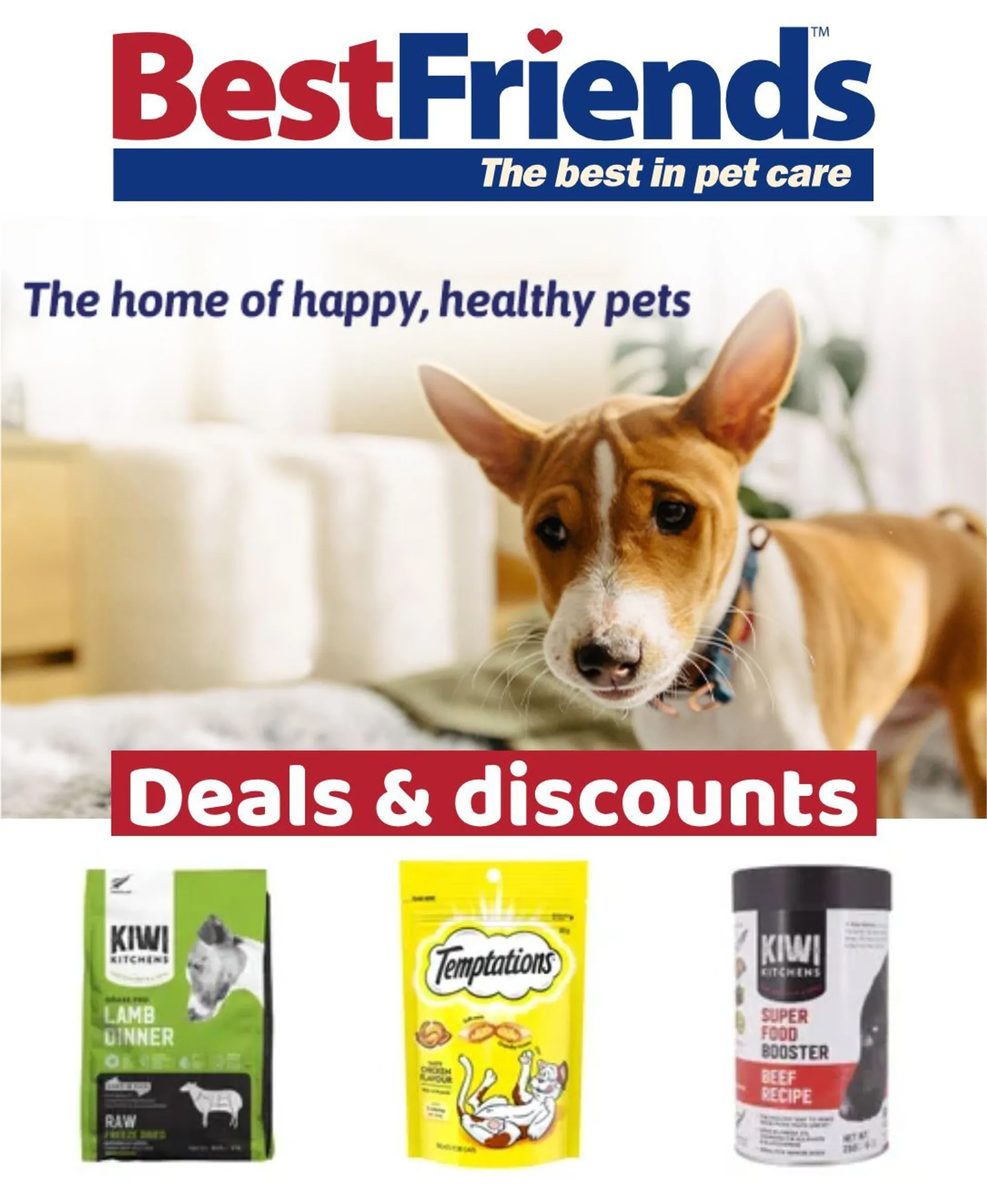 Offers on items for dogs and cats - Catalogue valid from 10 June to 15 June 2024 - page 1