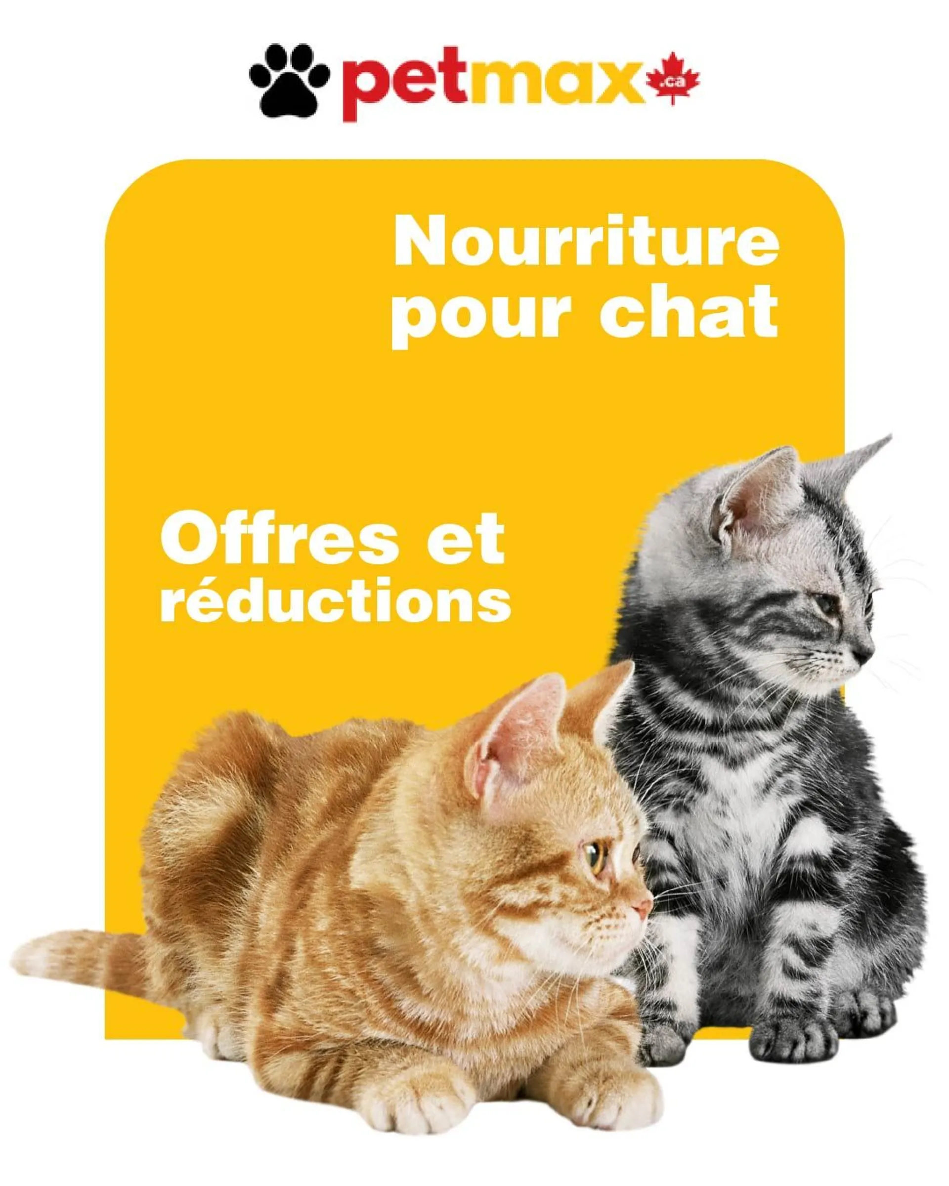 Offres sur les aliments pour chats du 11 mai au 16 mai 2024 - Circulaires page 