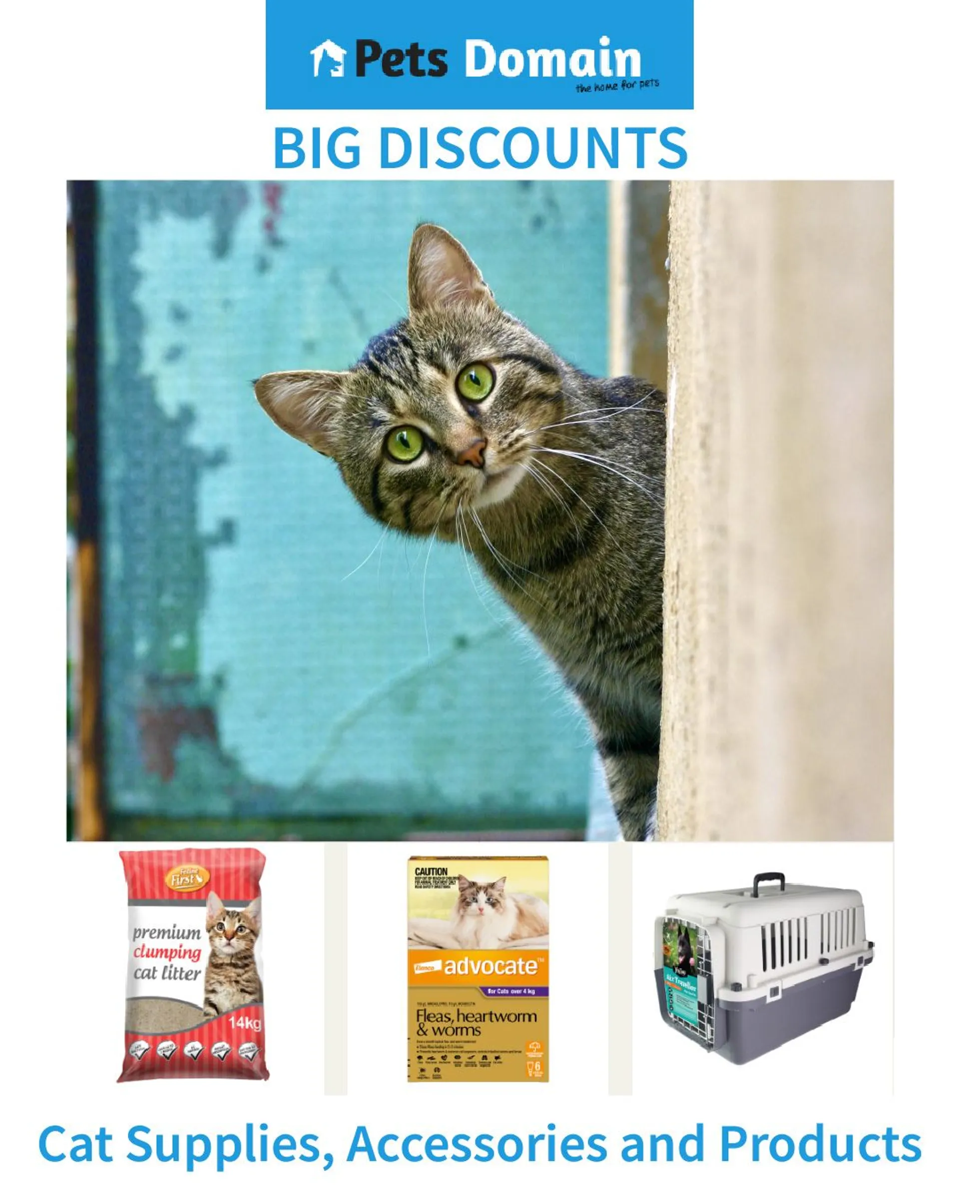Pets Domain offers - cats - Catalogue valid from 28 June to 3 July 2024 - page 