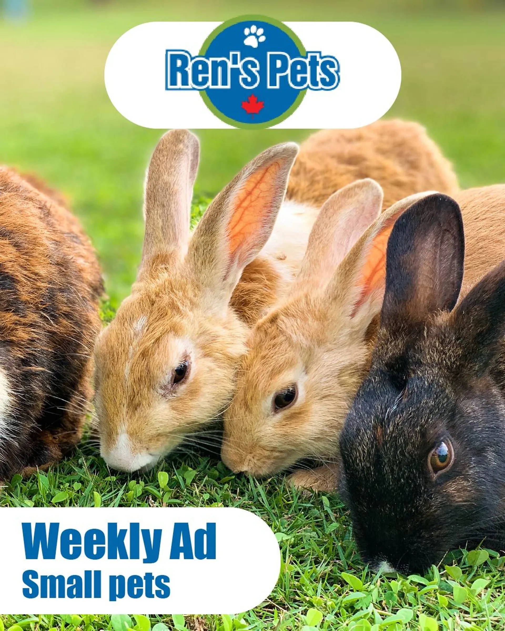 Ren’s Pets Depot - Small Animals from February 28 to March 4 2024 - flyer page 
