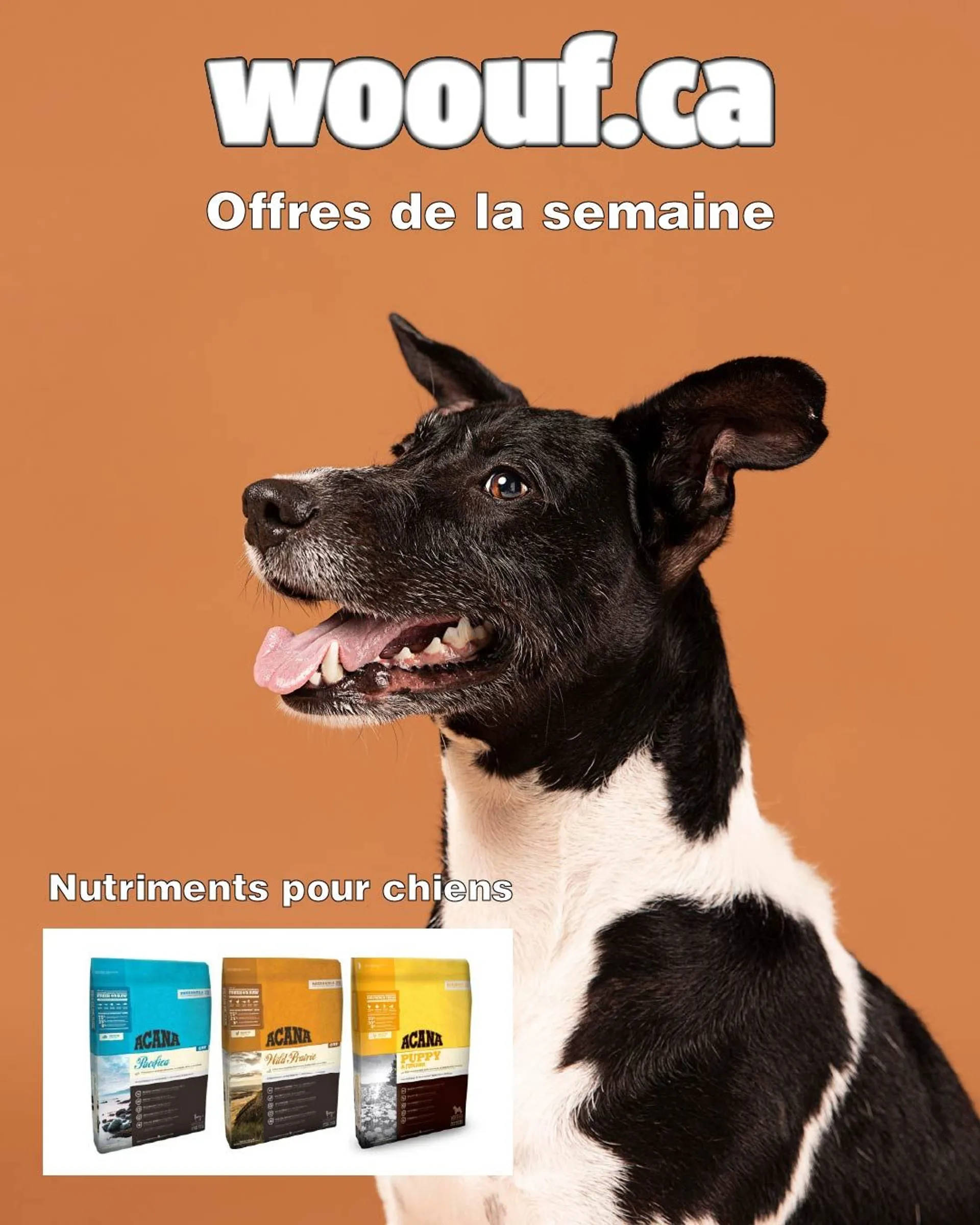 Offres sur les nutriments pour chiens du 12 mai au 17 mai 2024 - Circulaires page 