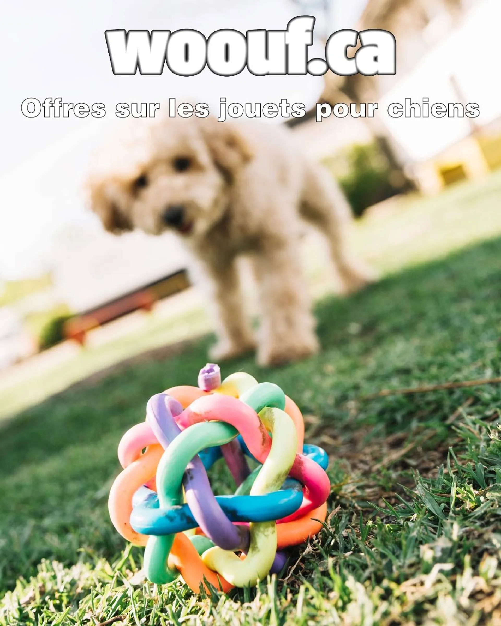 Offres sur les jouets pour chiens du 12 mai au 17 mai 2024 - Circulaires page 