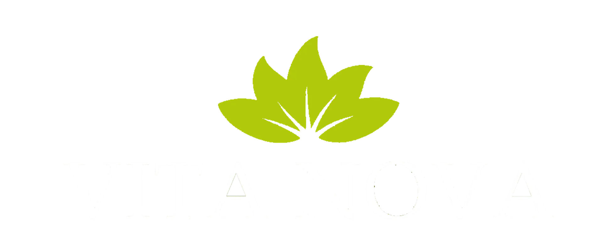 VITA NOVA logo