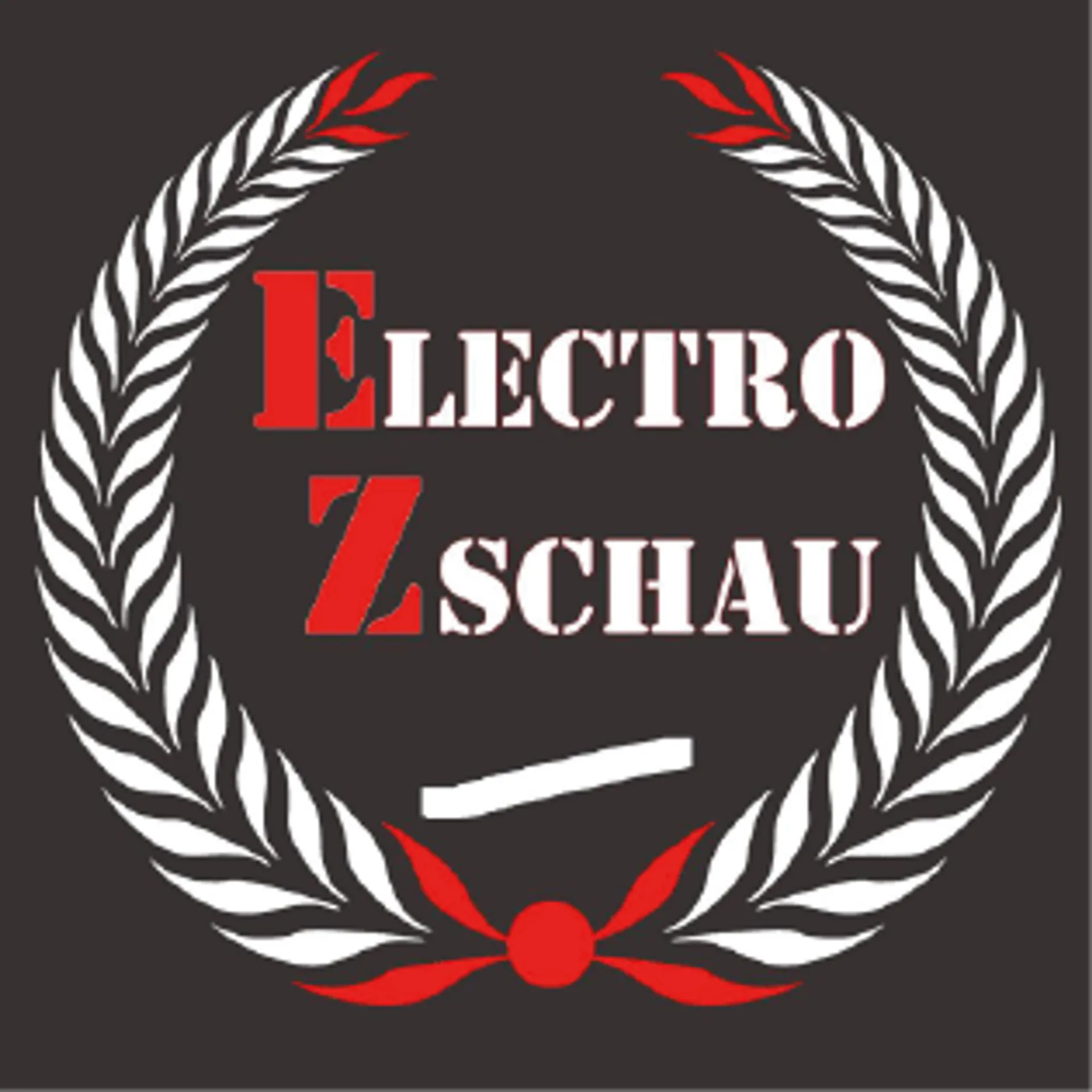 ELECTRO-ZSCHAU logo in de folder van deze week