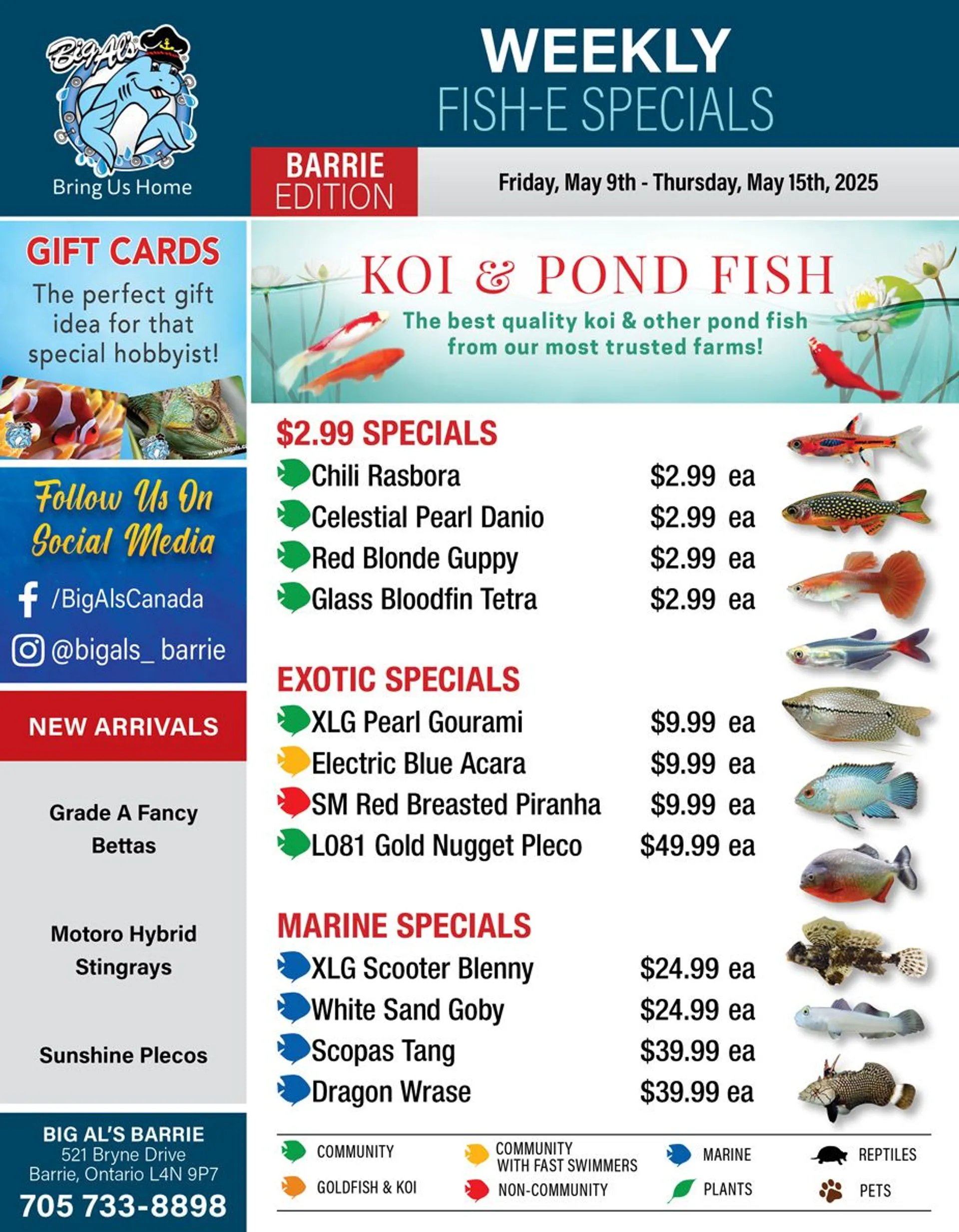 Big Al's Pets Deals from May 14 to May 15 2025 - flyer page 
