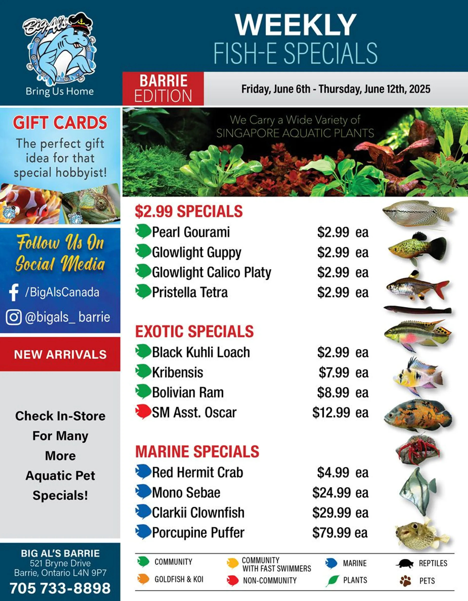 Big Al's Pets Deals from June 11 to June 12 2025 - flyer page 1