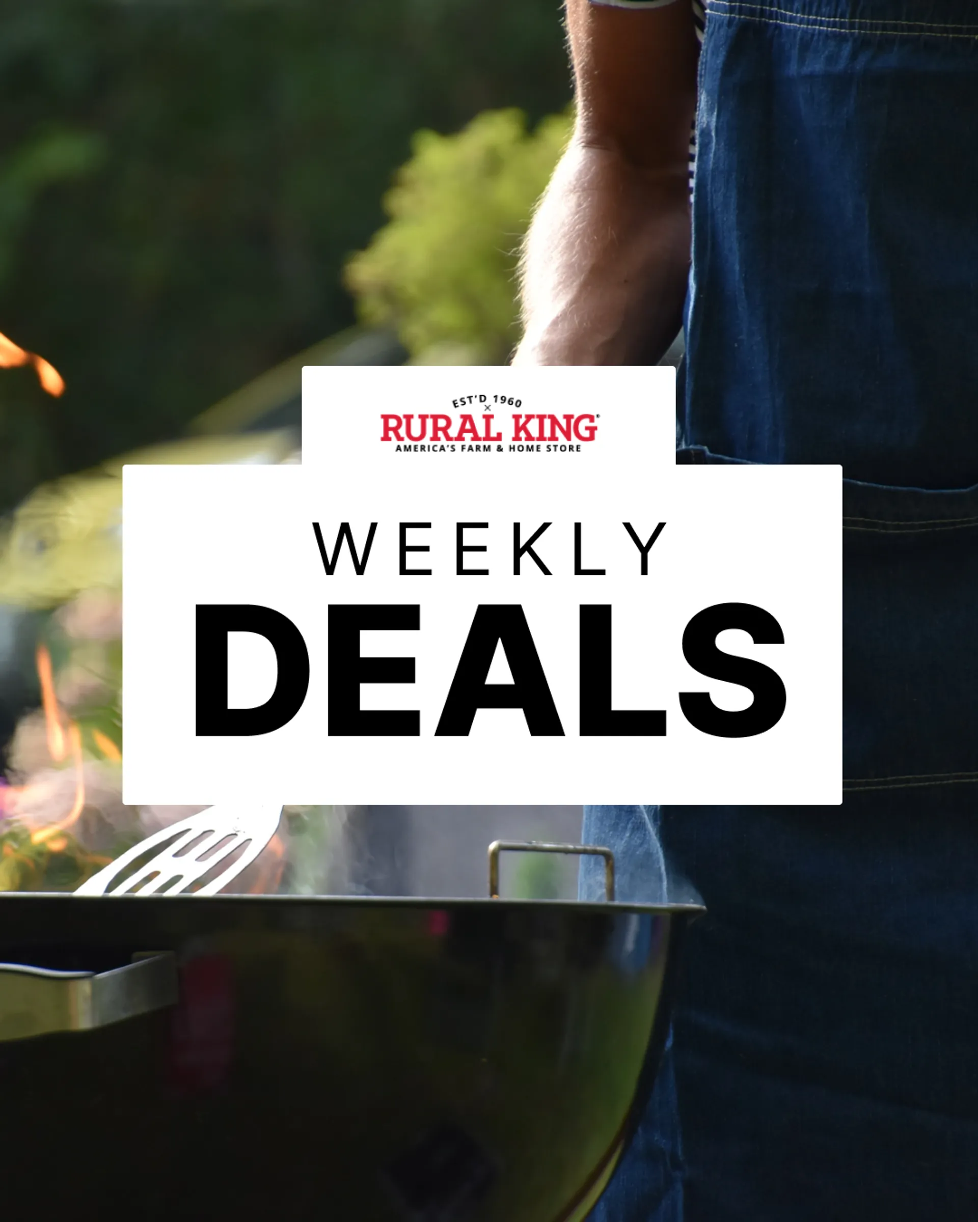 Weekly ad Weekly Grill Deals! from November 25 to November 30 2022 - Page 2