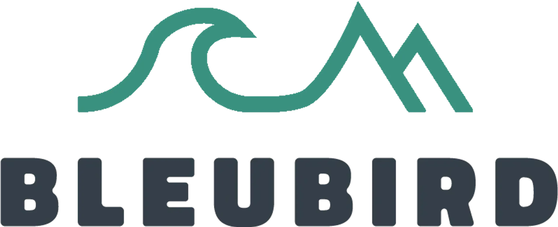 BLEUBIRD logo