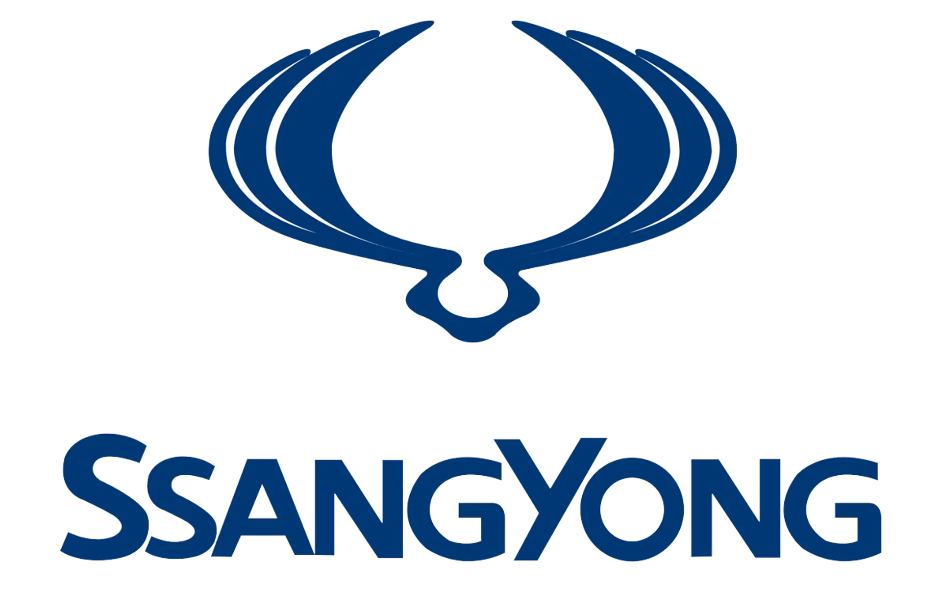 SSANG YONG logo del volantino attuale