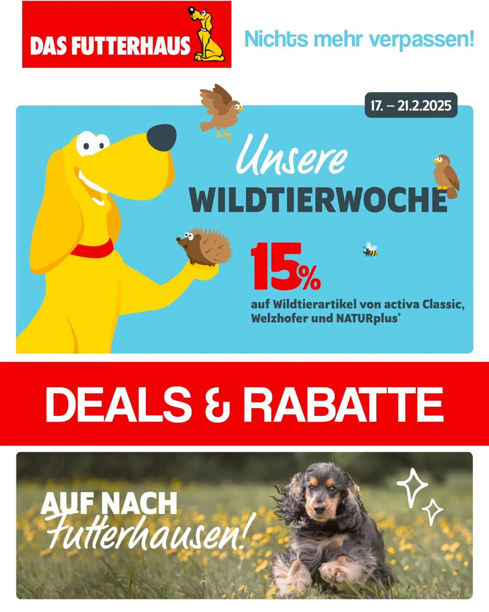 Rabatte von 20. Februar bis 8. März 2025 - Prospekt seite 