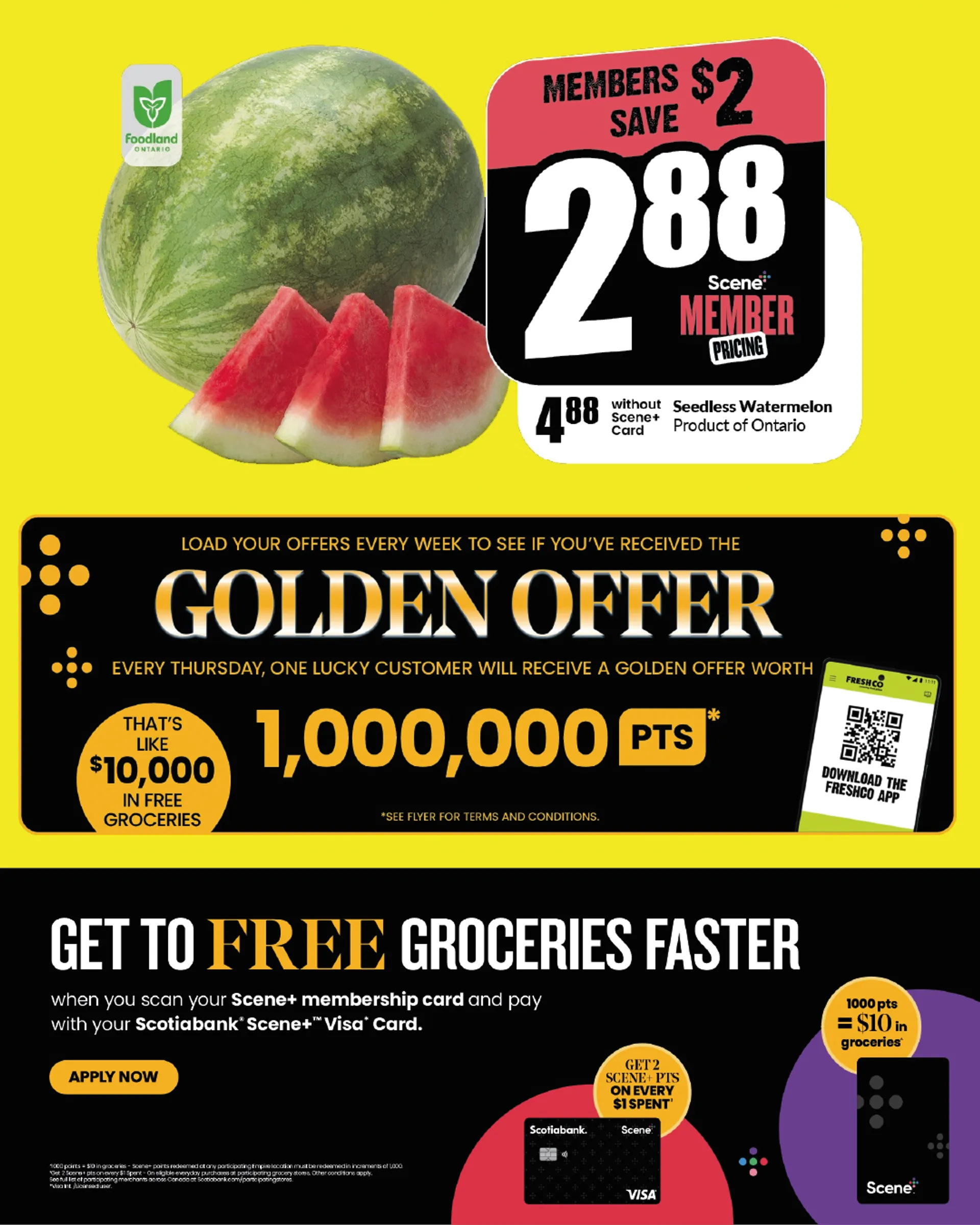 FreshCo. Weekly deals! from August 16 to August 23 2024 - flyer page 2