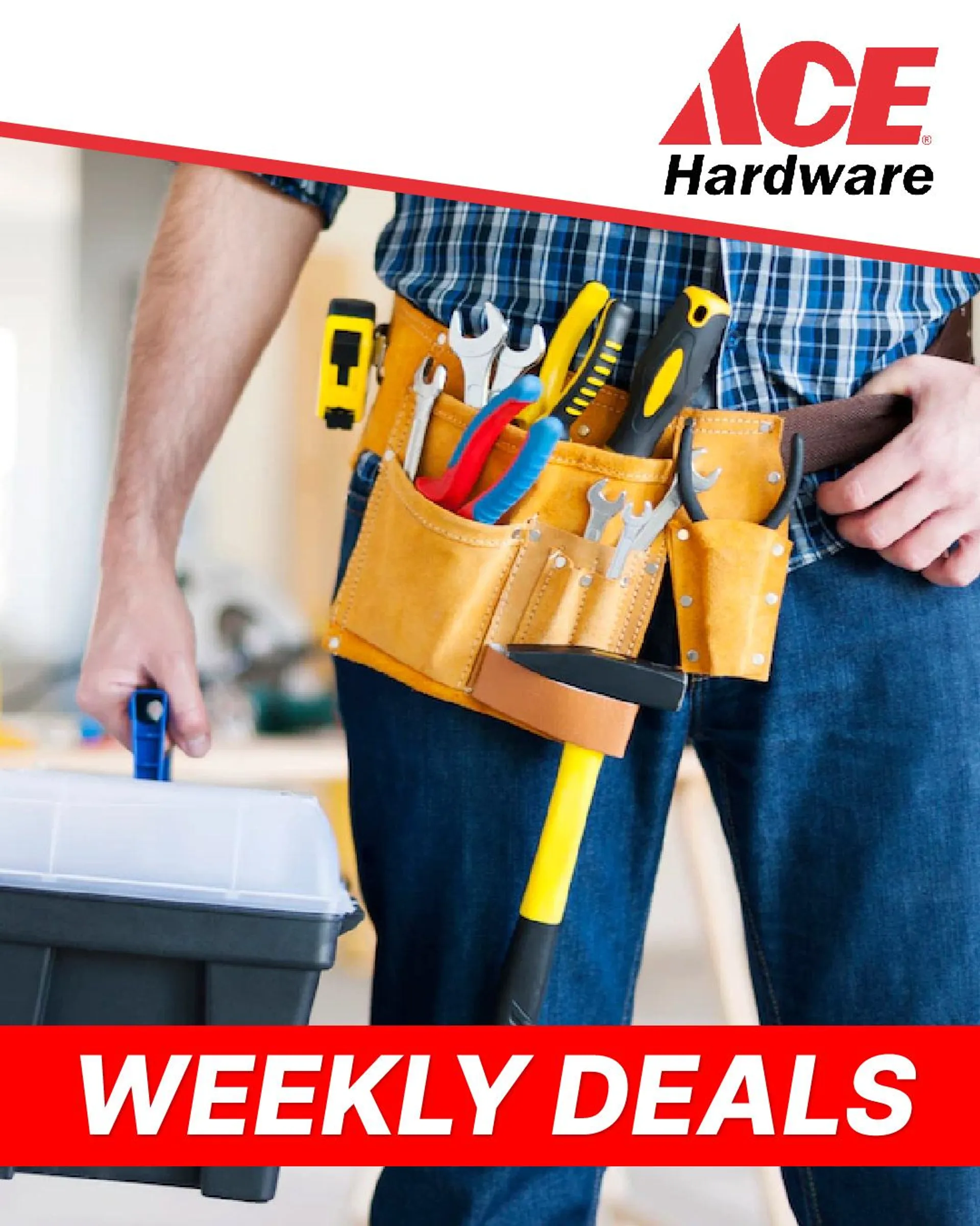 Weekly ad ACE Hardware - Daily savings from March 28 to April 2 2023 - Page 1